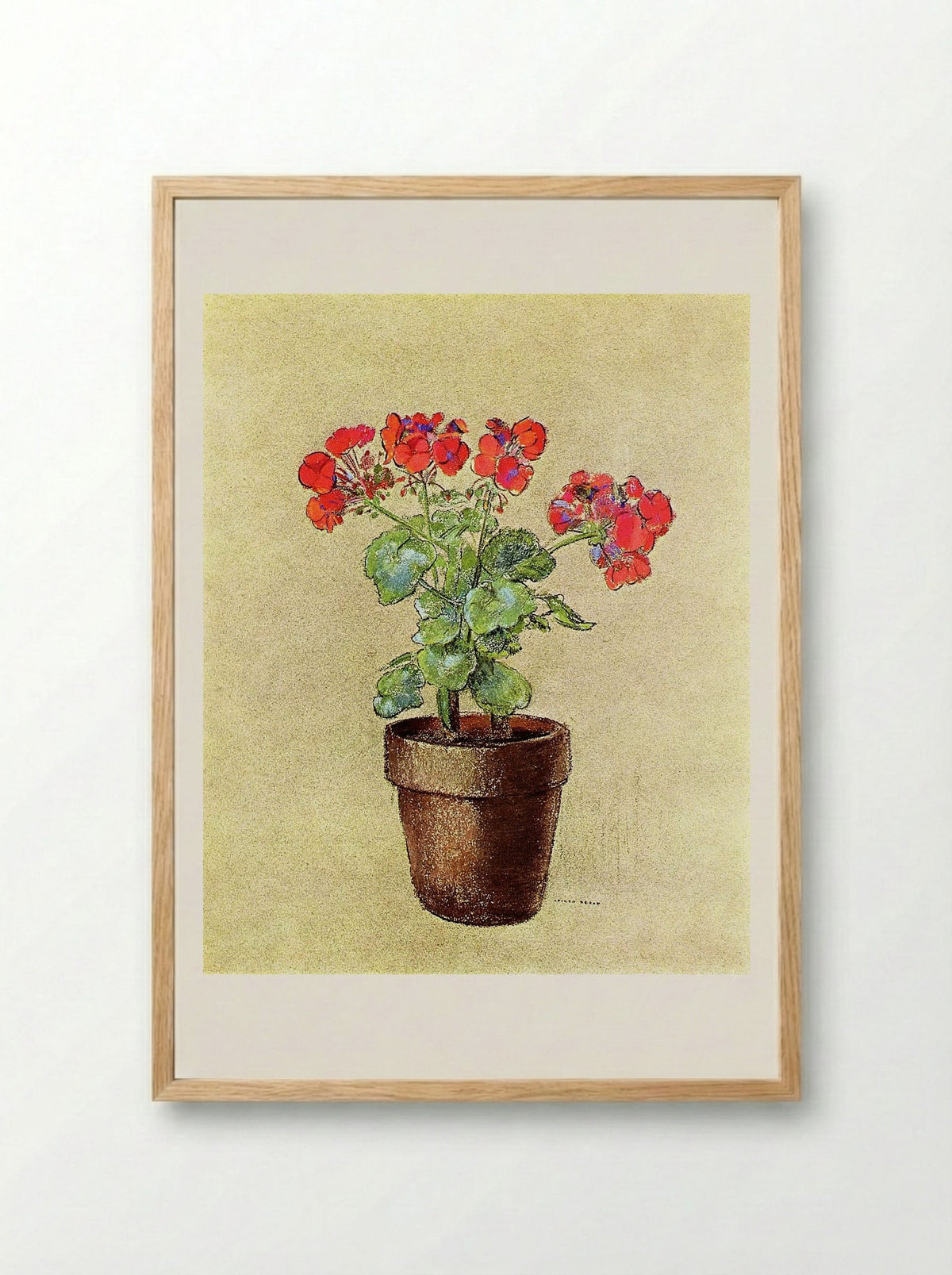Geraniums - Fritz Reiss - Framed Print Wood