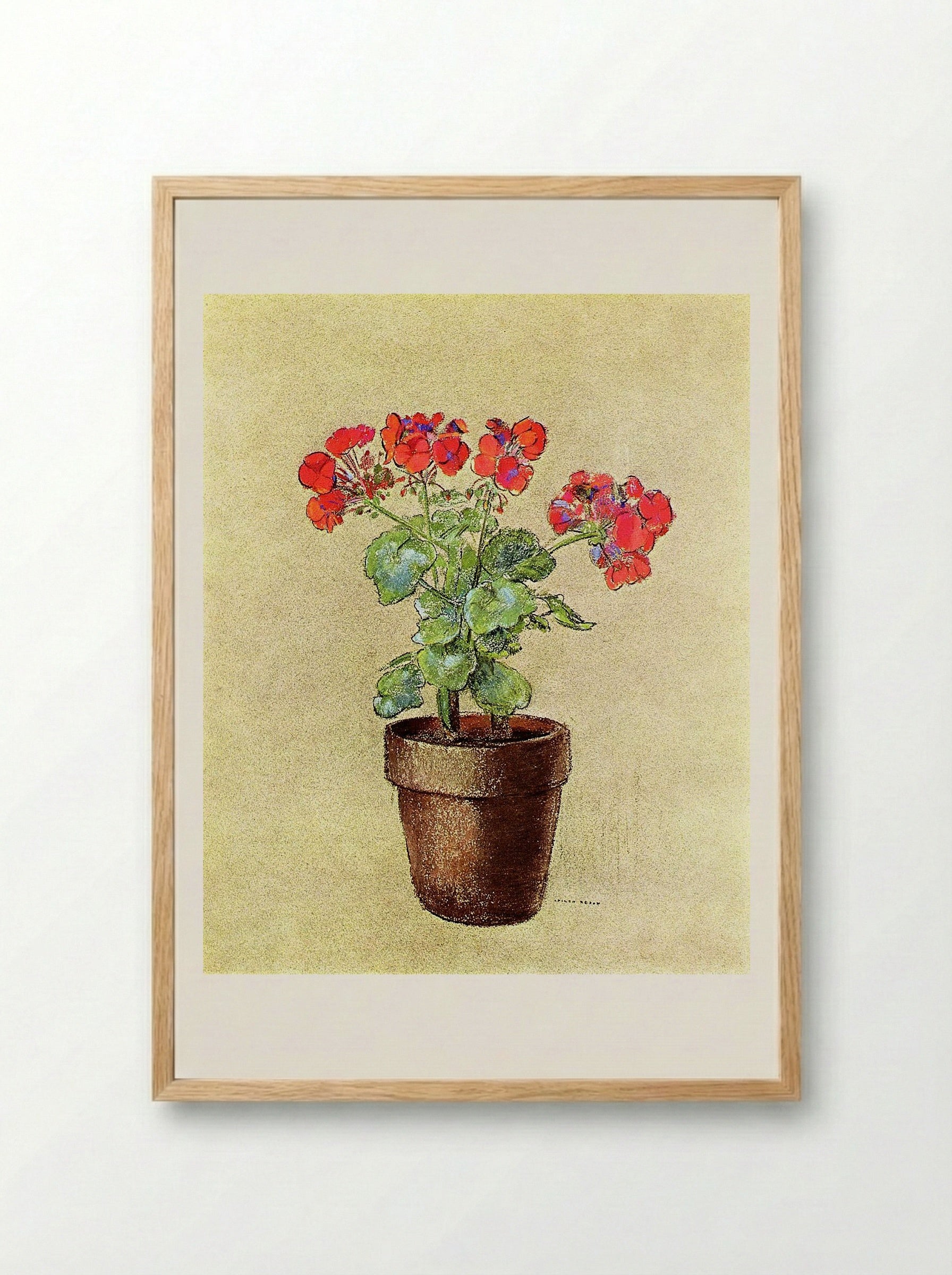 Geraniums - Fritz Reiss - Framed Print Wood