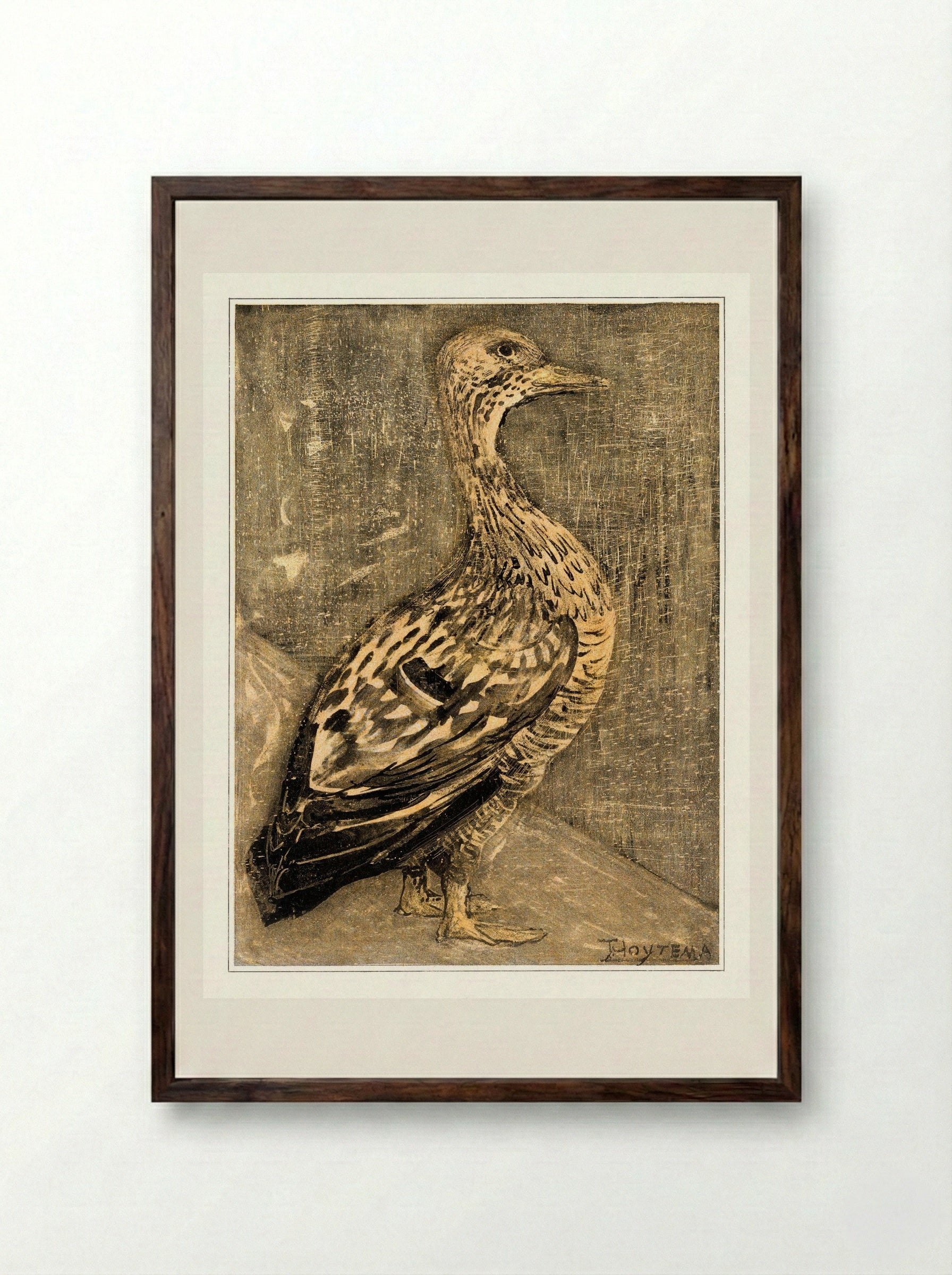 Standing Duck - Theo van Hoytema - Framed Print Dark Wood