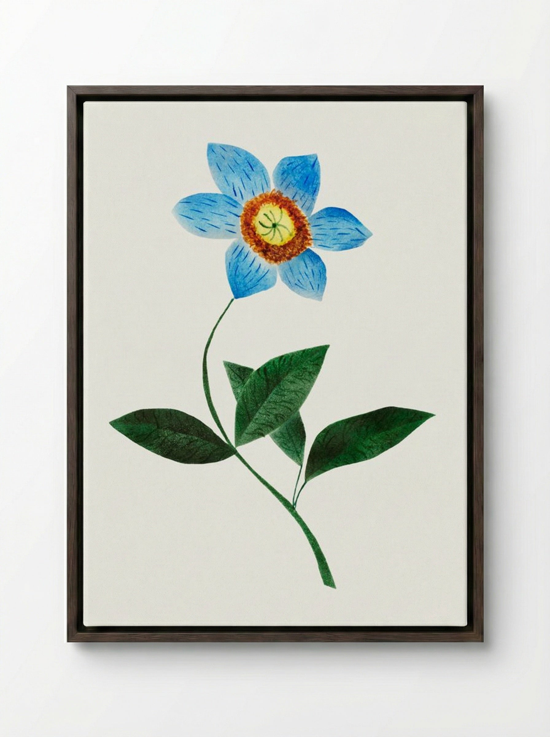 Star Flower - Mary Altha Nims - Framed Canvas Dark Wood