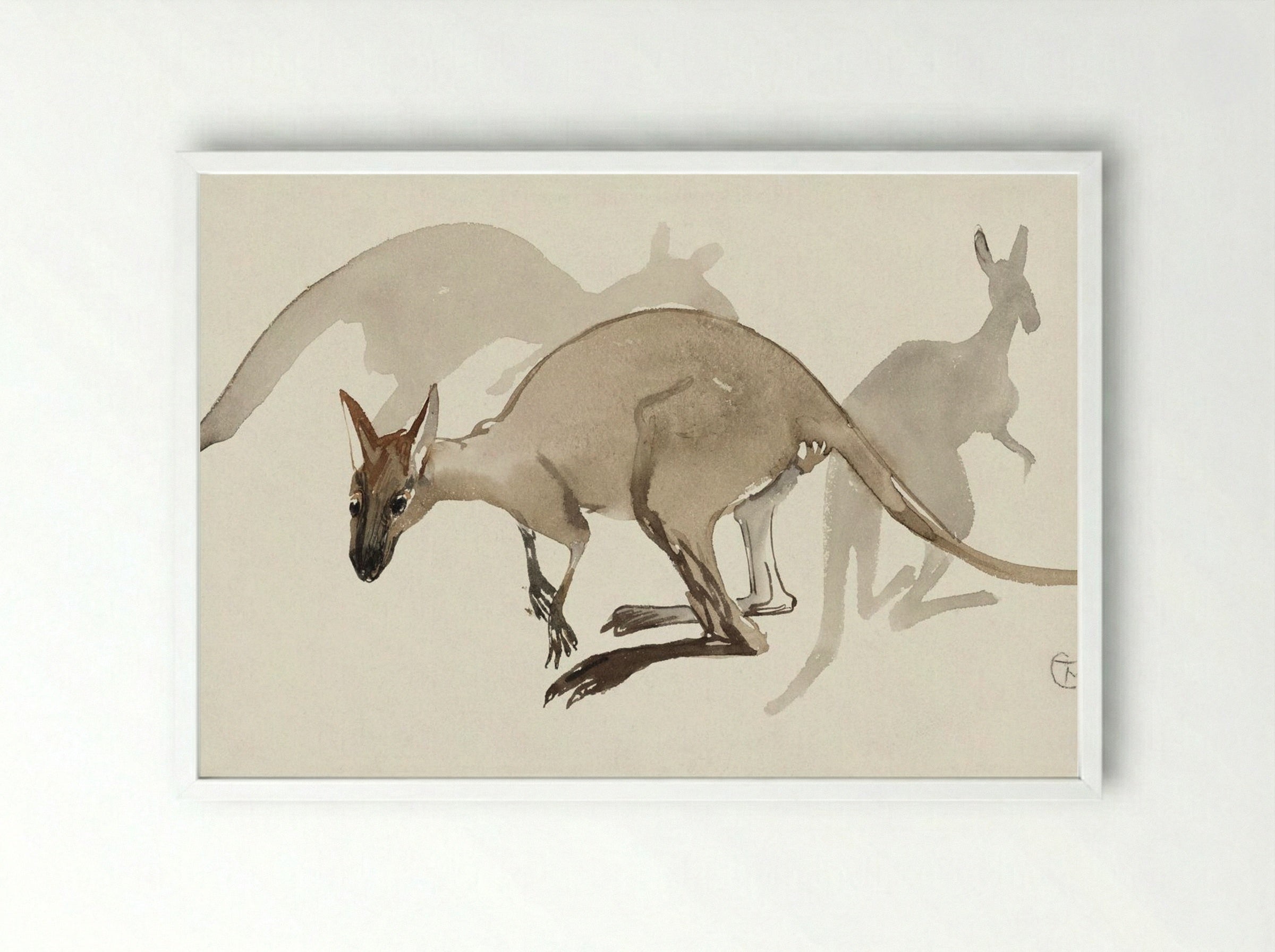 Kangaroos - Theo van Hoytema - Framed Print White