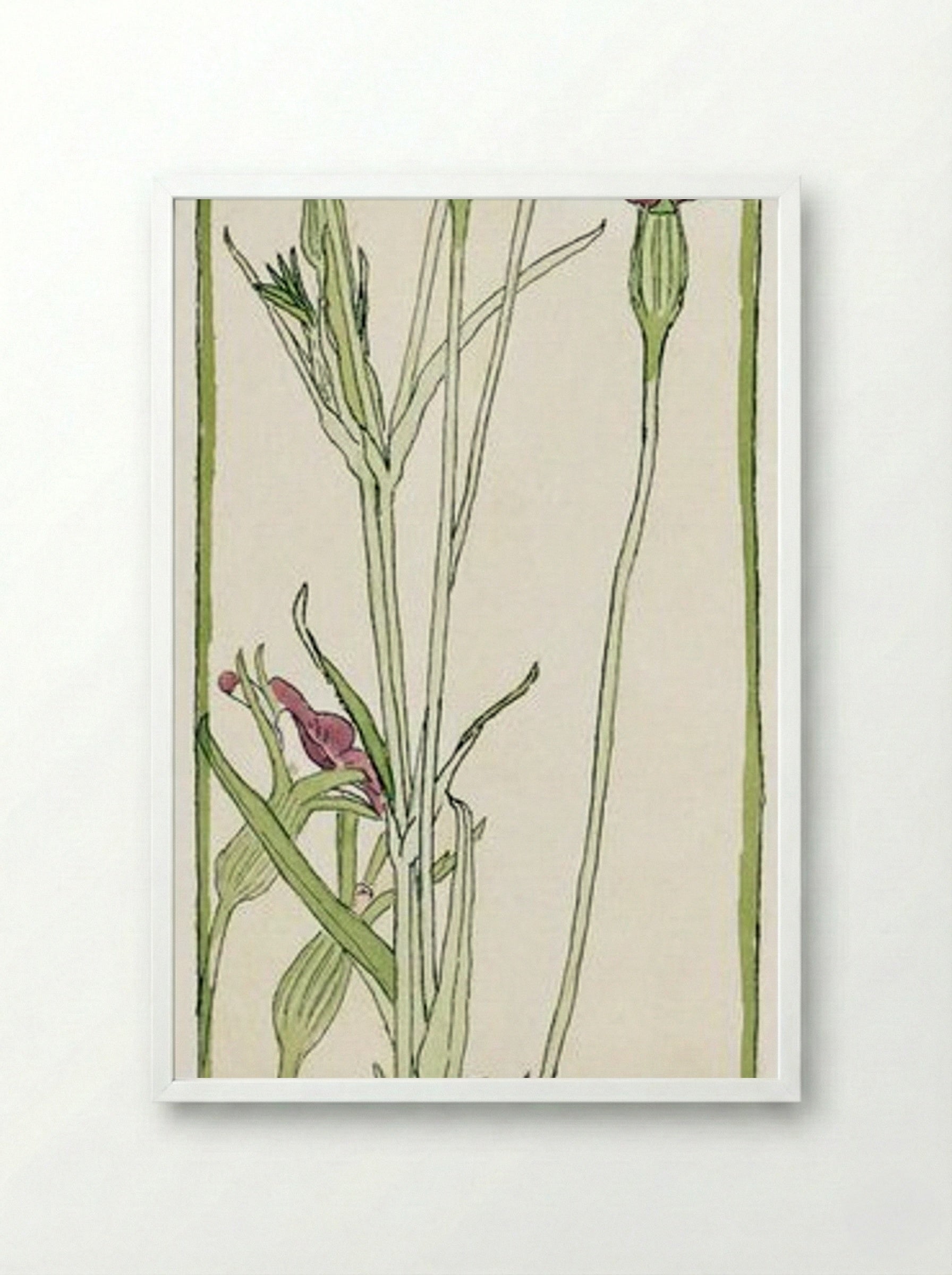 Corn Cockle - Hannah Borger Overbeck - Framed Print White