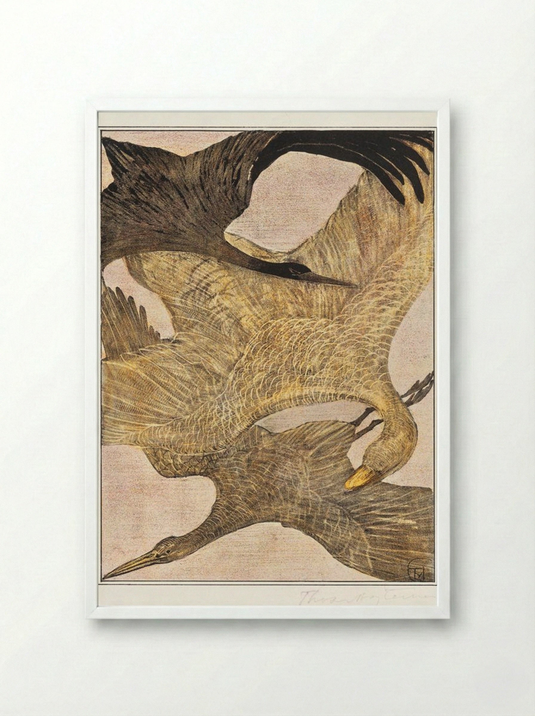 Drie vliegende vogels (Three Flying Birds) - Theo van Hoytema - Framed Print White