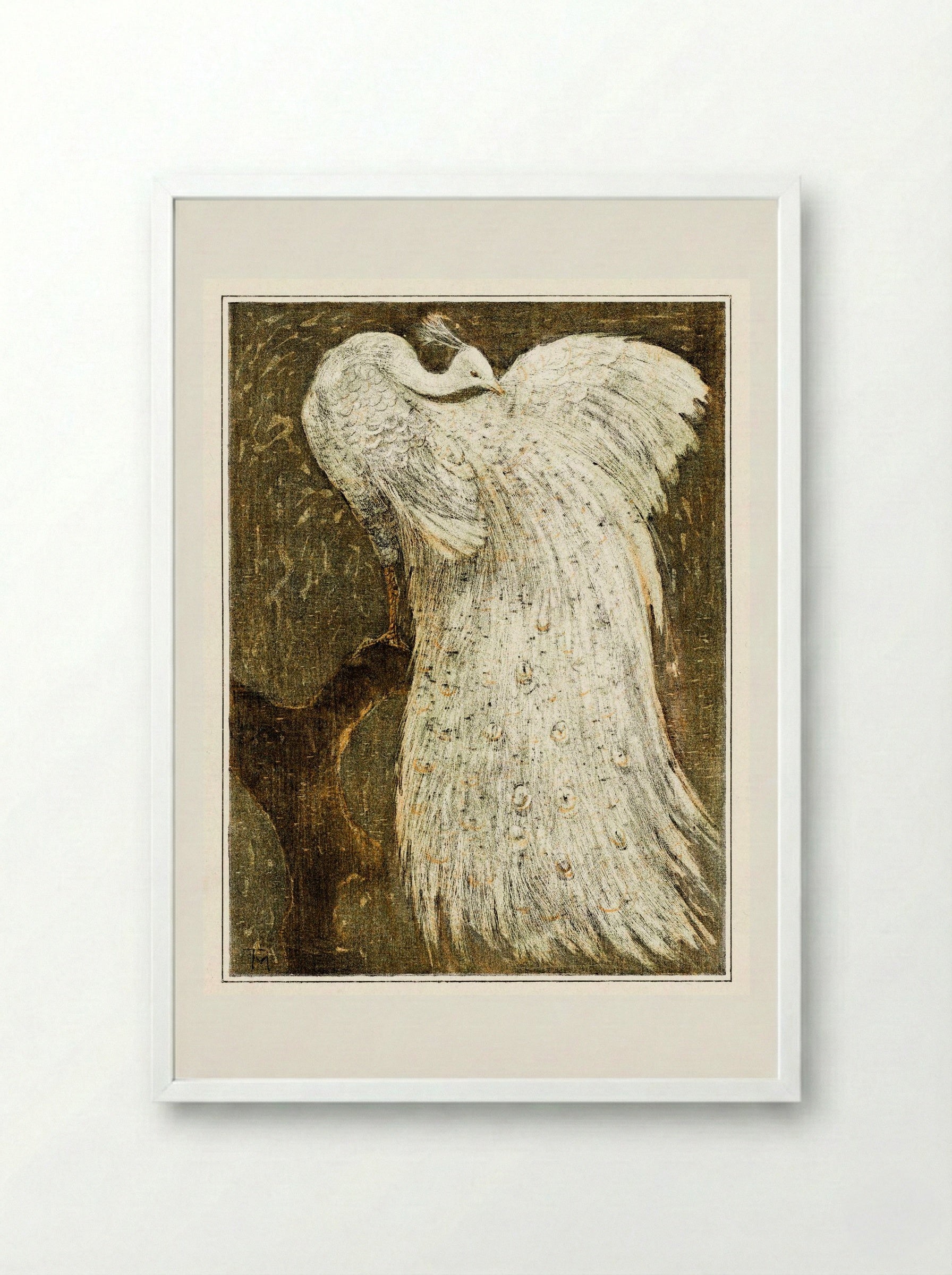 White Peacock on a Branch - Theo van Hoytema - Framed Print White
