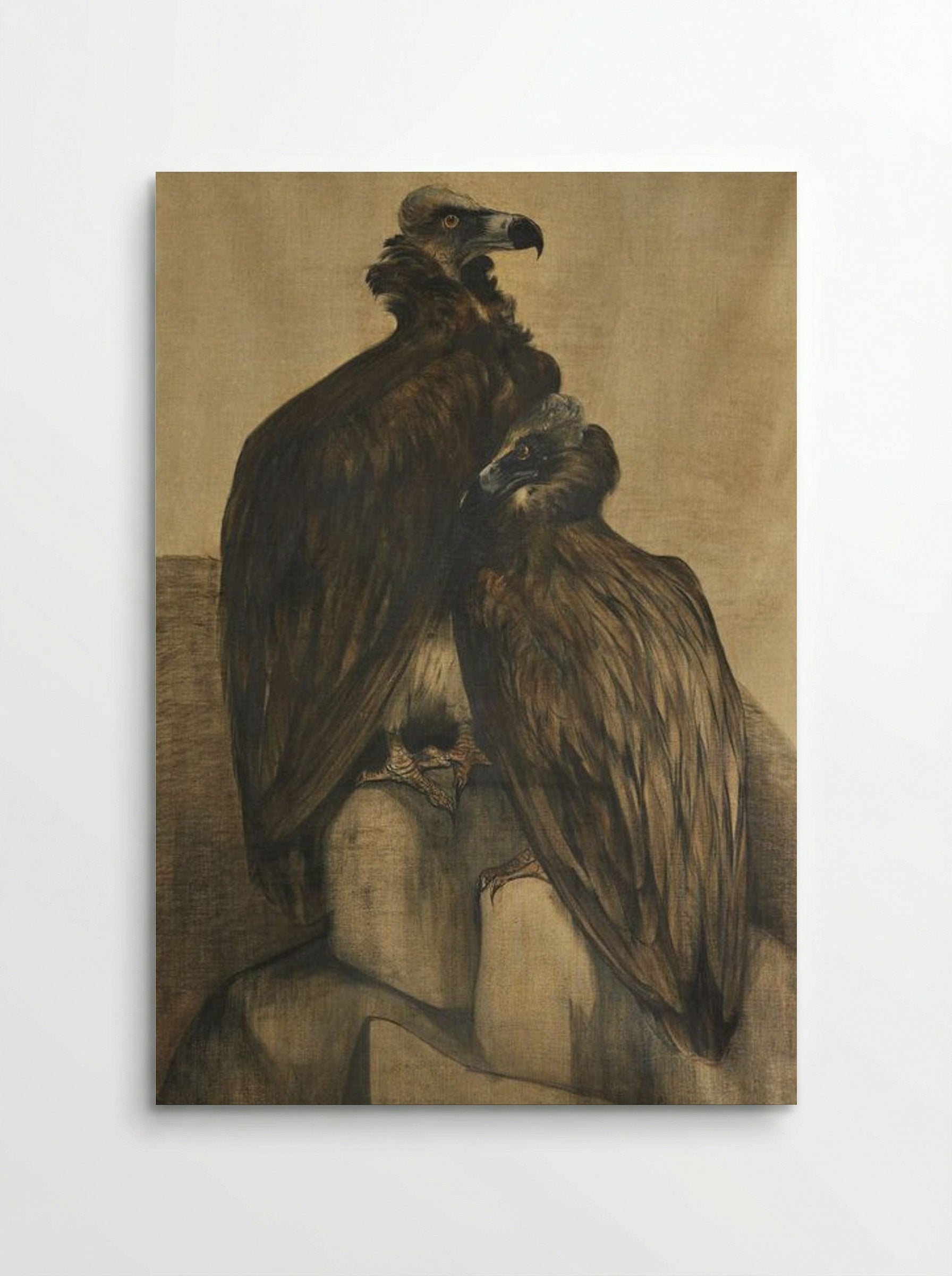 Two Arabian Vultures - Theo van Hoytema - Poster