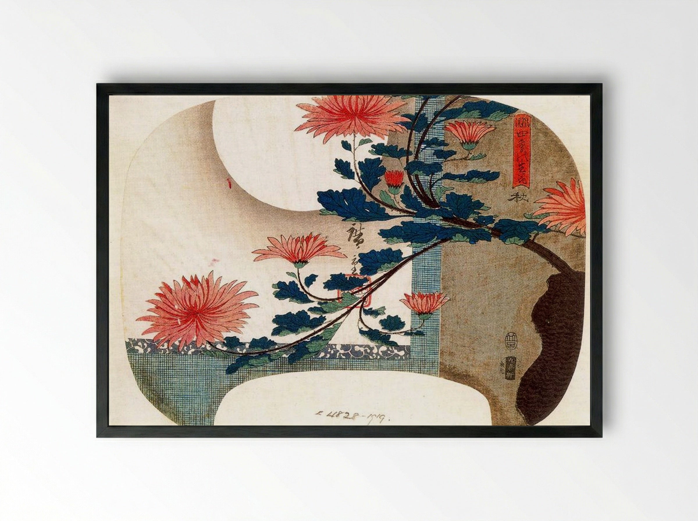 Chrysanthemums - Fine Art Print - Framed Print Black