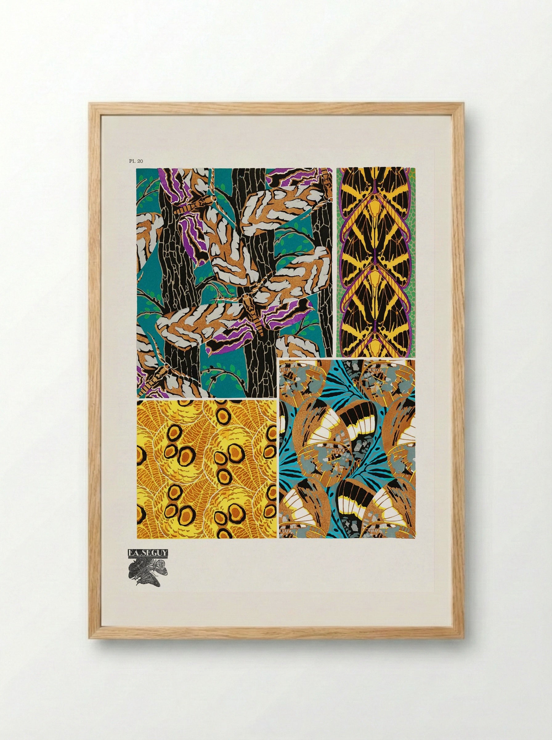 Butterflies Pattern Plate (from Papillons) - Émile-Allain Séguy - Framed Print Wood
