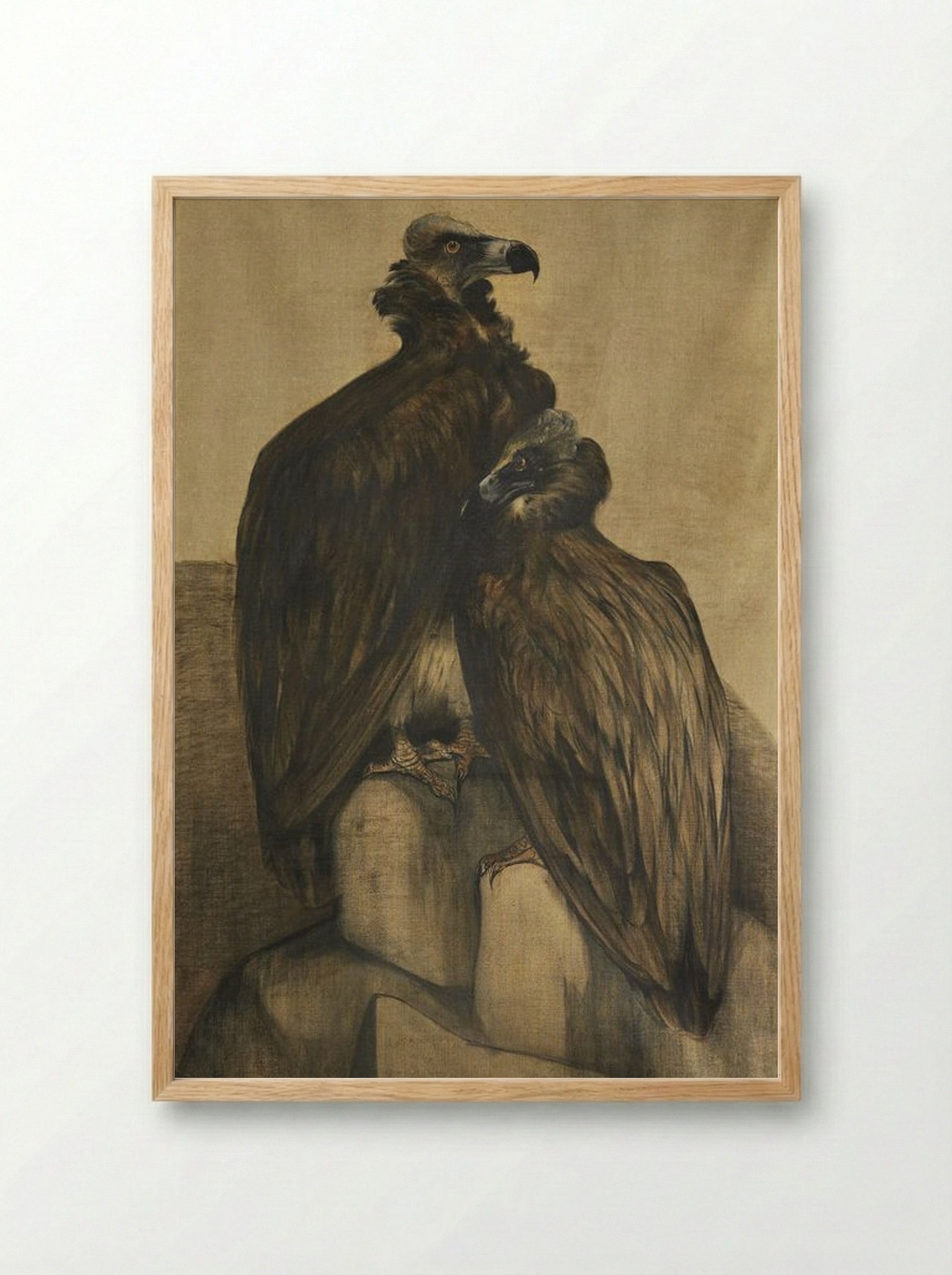 Two Arabian Vultures - Theo van Hoytema - Framed Print Wood