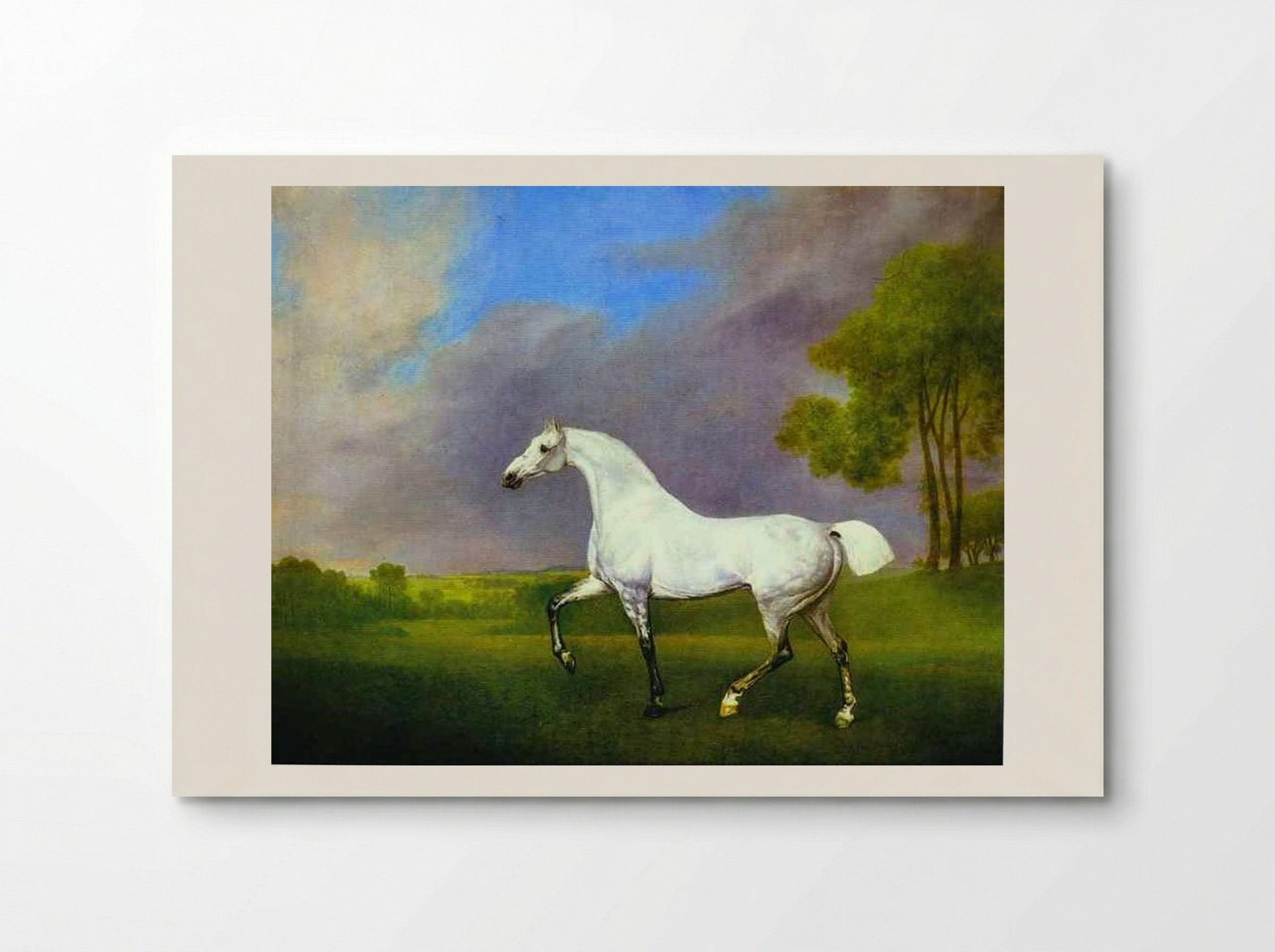 A Grey Horse - George Stubbs - Poster