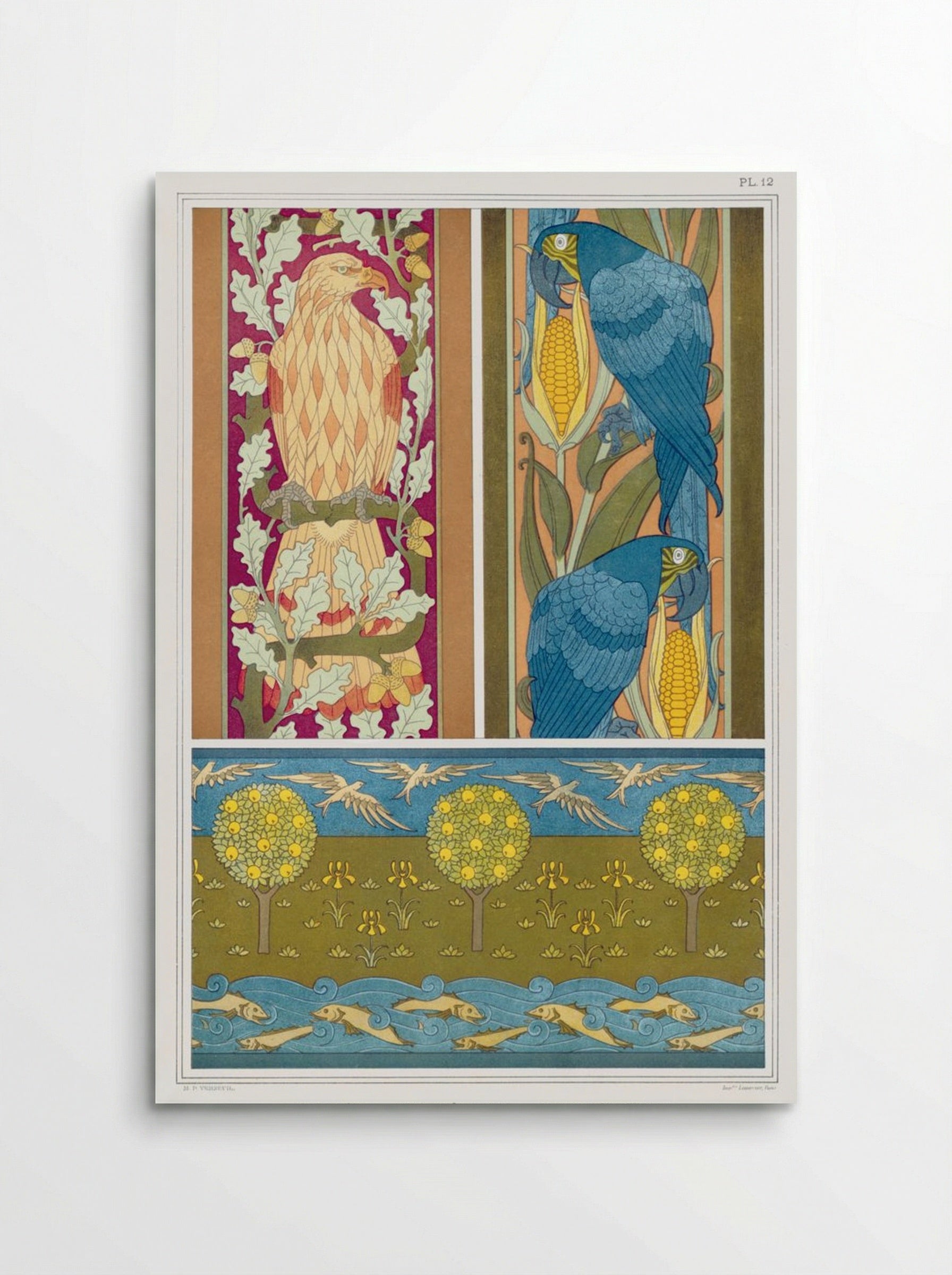 L'Animal dans la Décoration, Plate 12 (Eagle, Macaws, Fish and Birds) - Maurice Pillard Verneuil - Poster