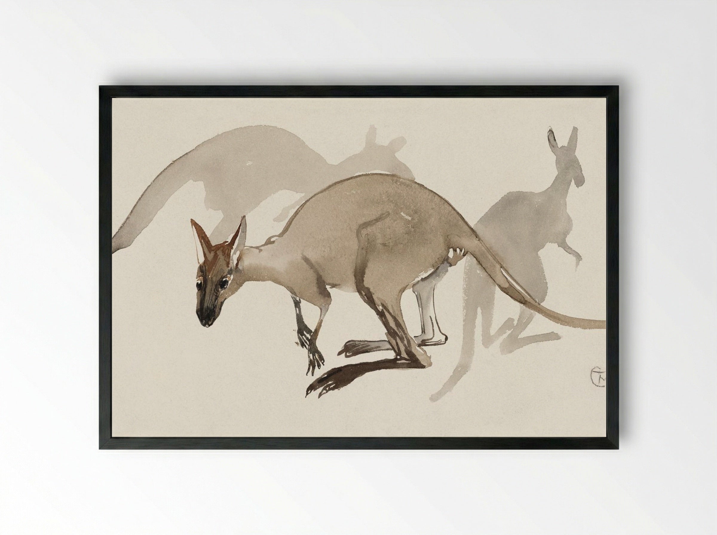 Kangaroos - Theo van Hoytema - Framed Print Black