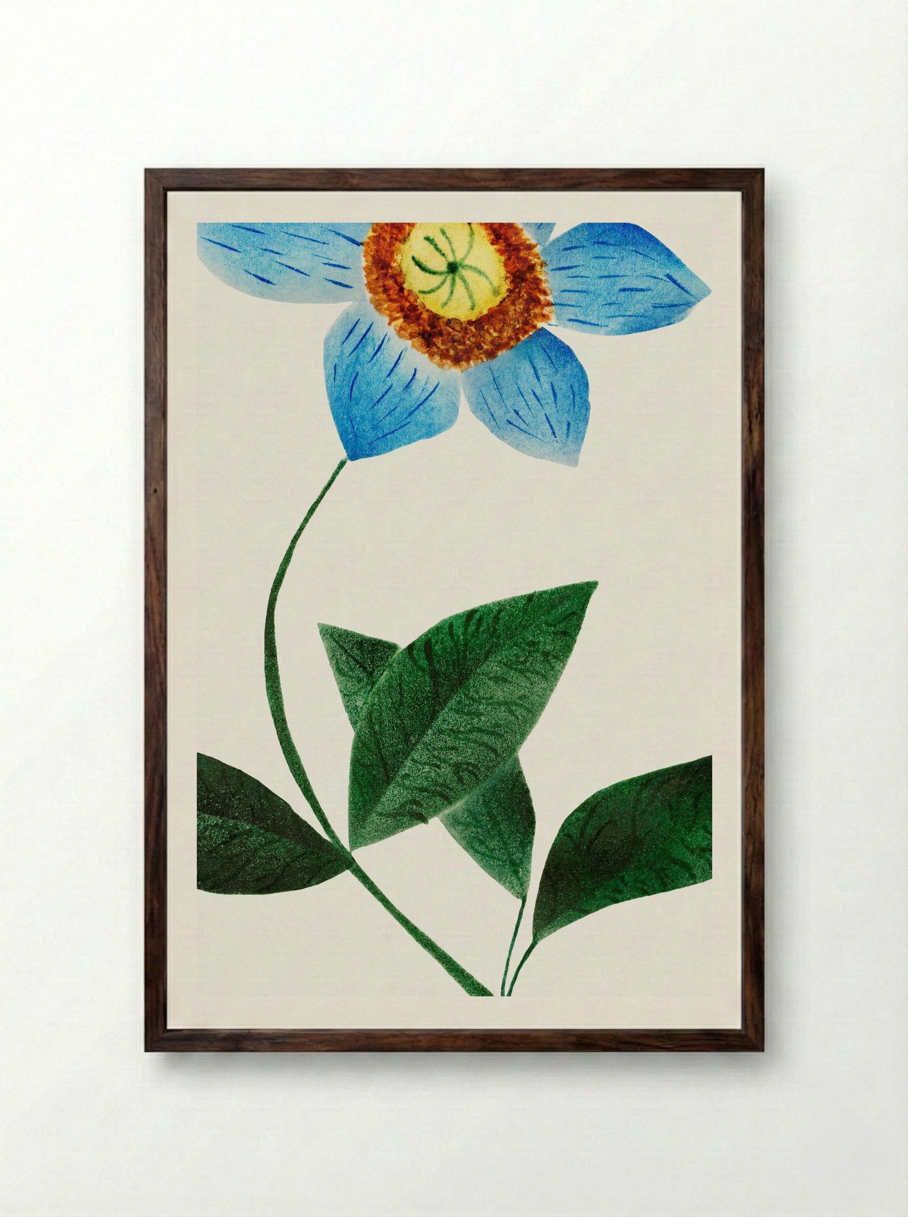 Star Flower - Mary Altha Nims - Framed Print Dark Wood