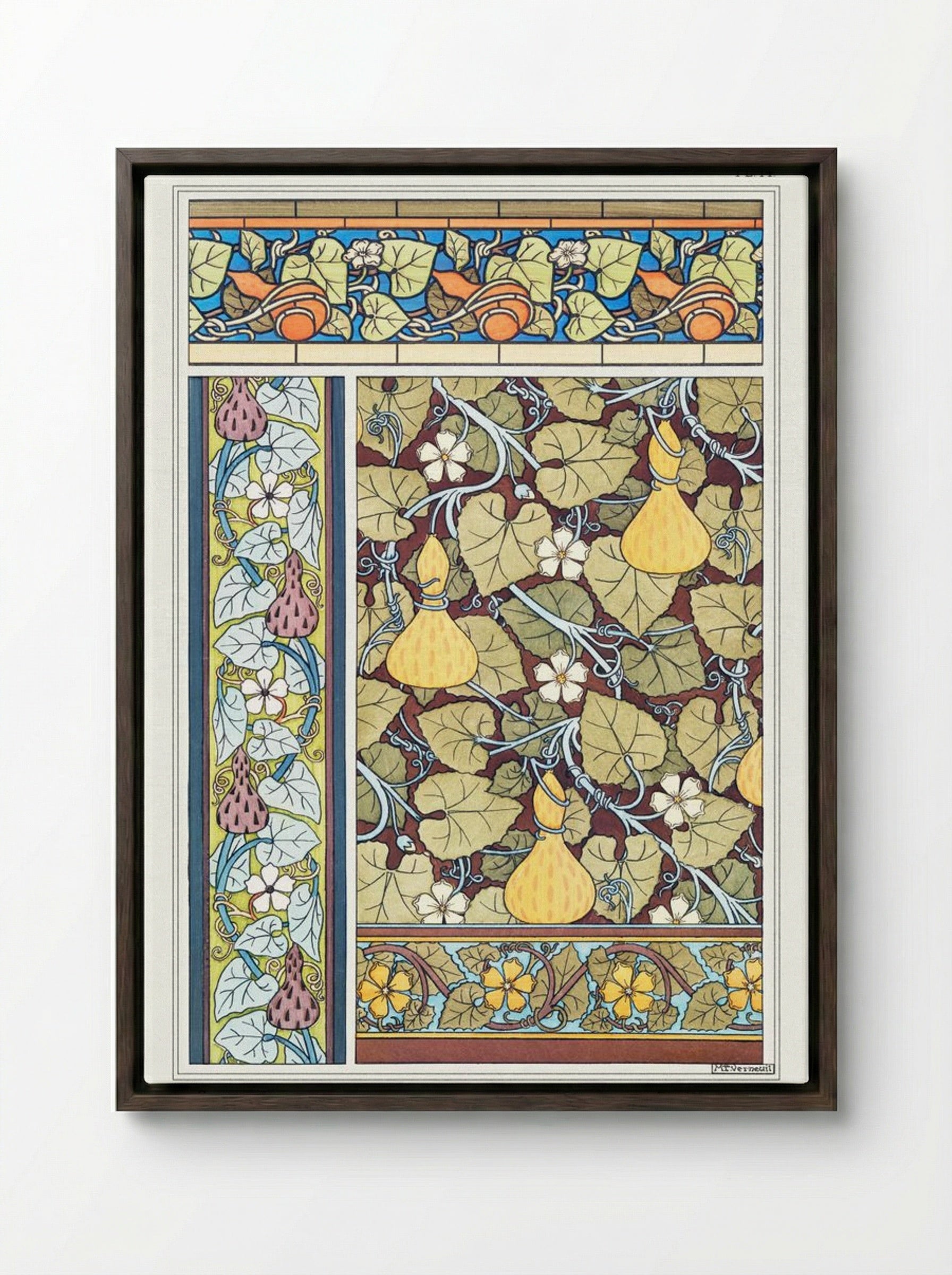 Courge (White-Flowered Gourd, from La Plante et ses Applications ornementales) - Maurice Pillard Verneuil - Framed Canvas Dark Wood