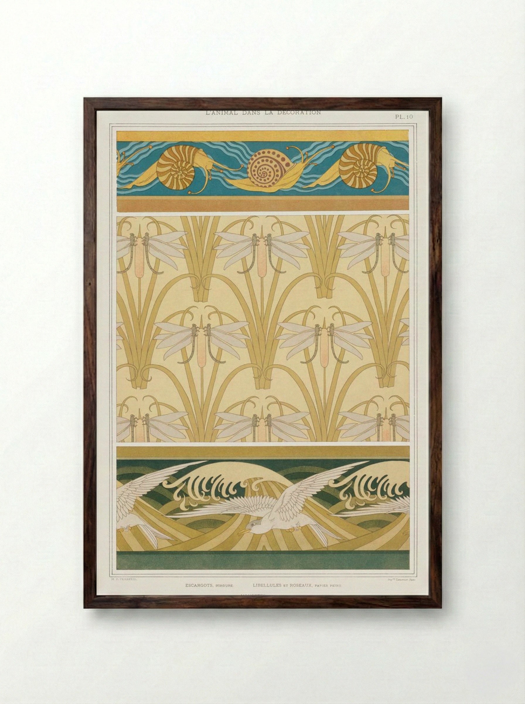 L'Animal dans la Décoration, Plate 10 (Snails, Dragonflies, Seagulls) - Maurice Pillard Verneuil - Framed Print Dark Wood