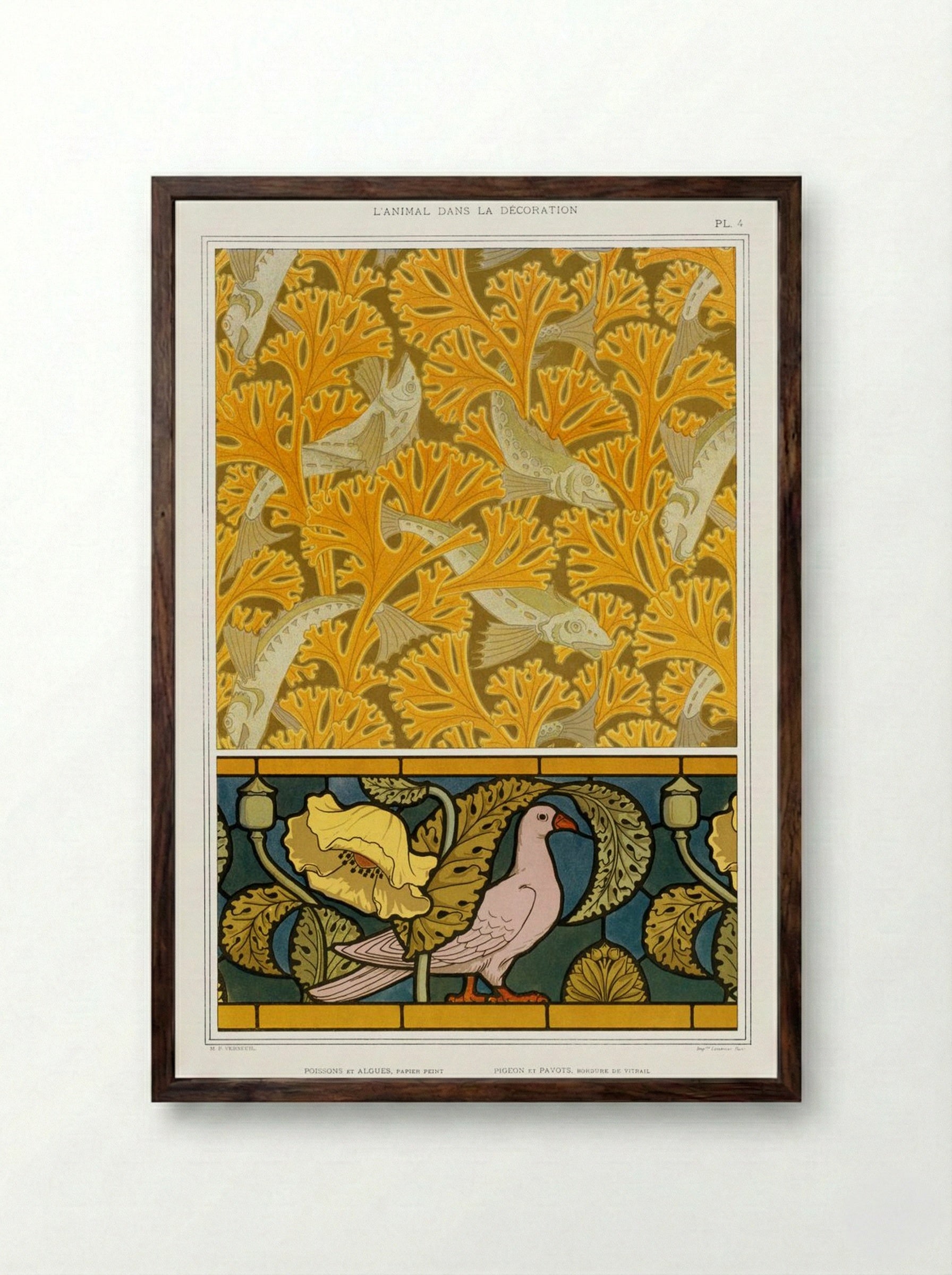 Poisson et Algues, Papier Peint; Pigeon et Pavots, Bordure de Vitrail - Maurice Pillard Verneuil - Framed Print Dark Wood