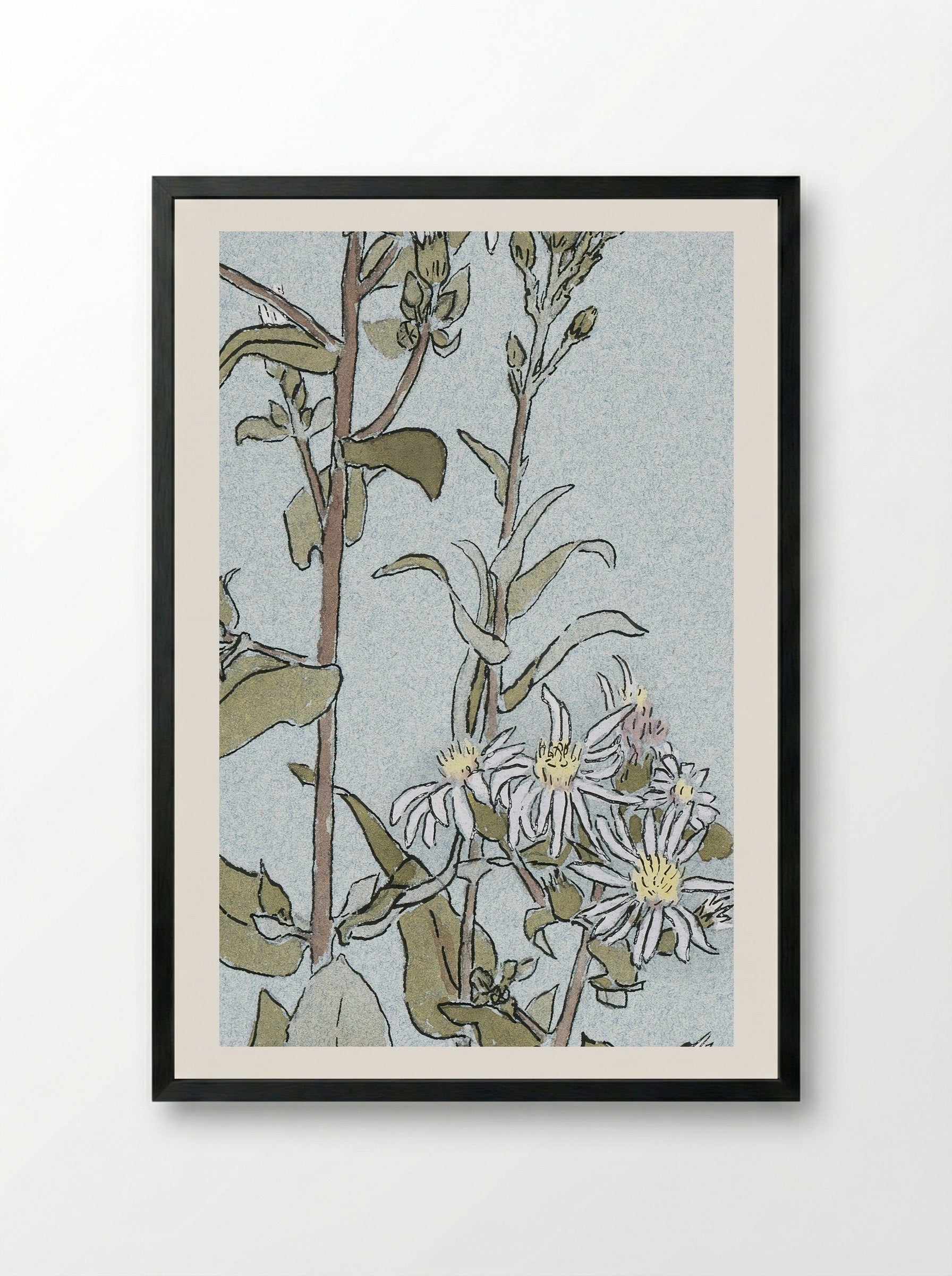 Aster (1915) - Hannah Borger Overbeck - Framed Print Black