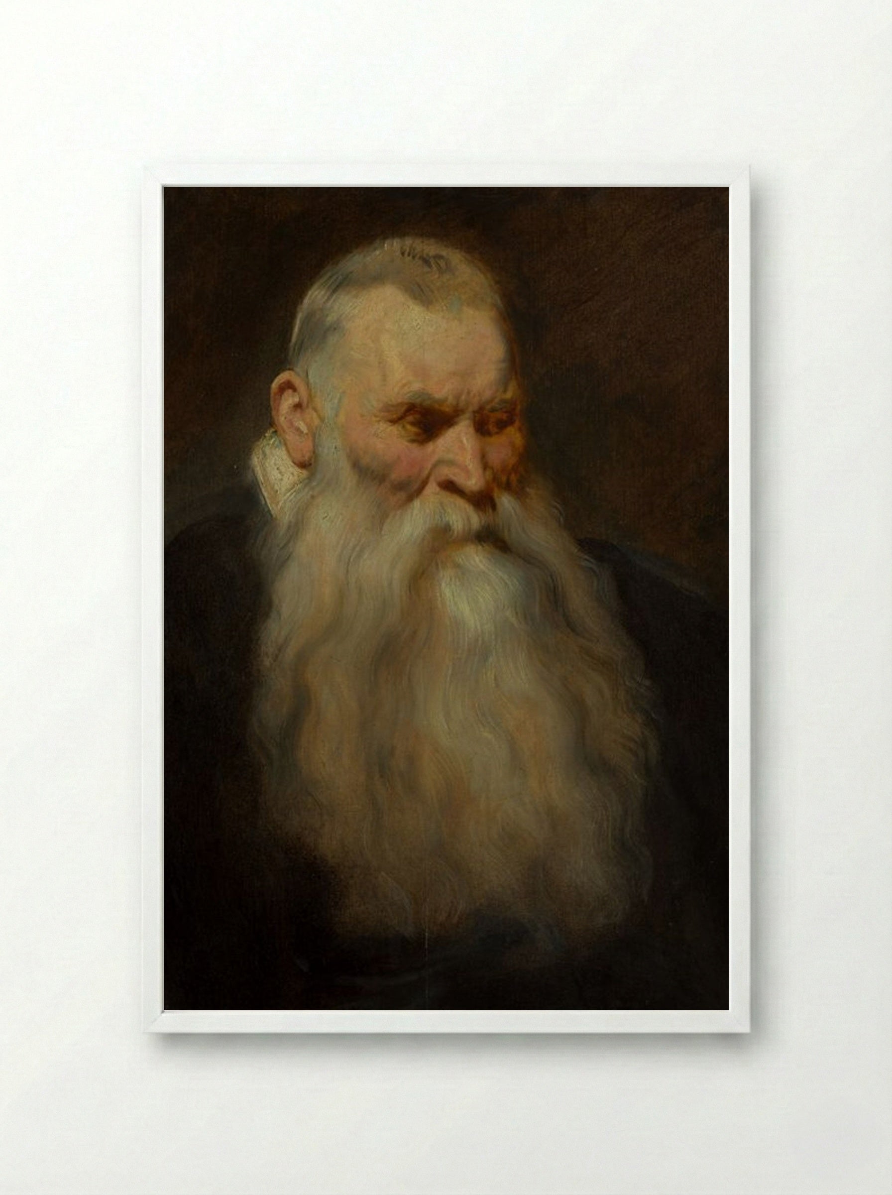 Study: Head of an Old Man with a White Beard - Anthony van Dyck - Framed Print White