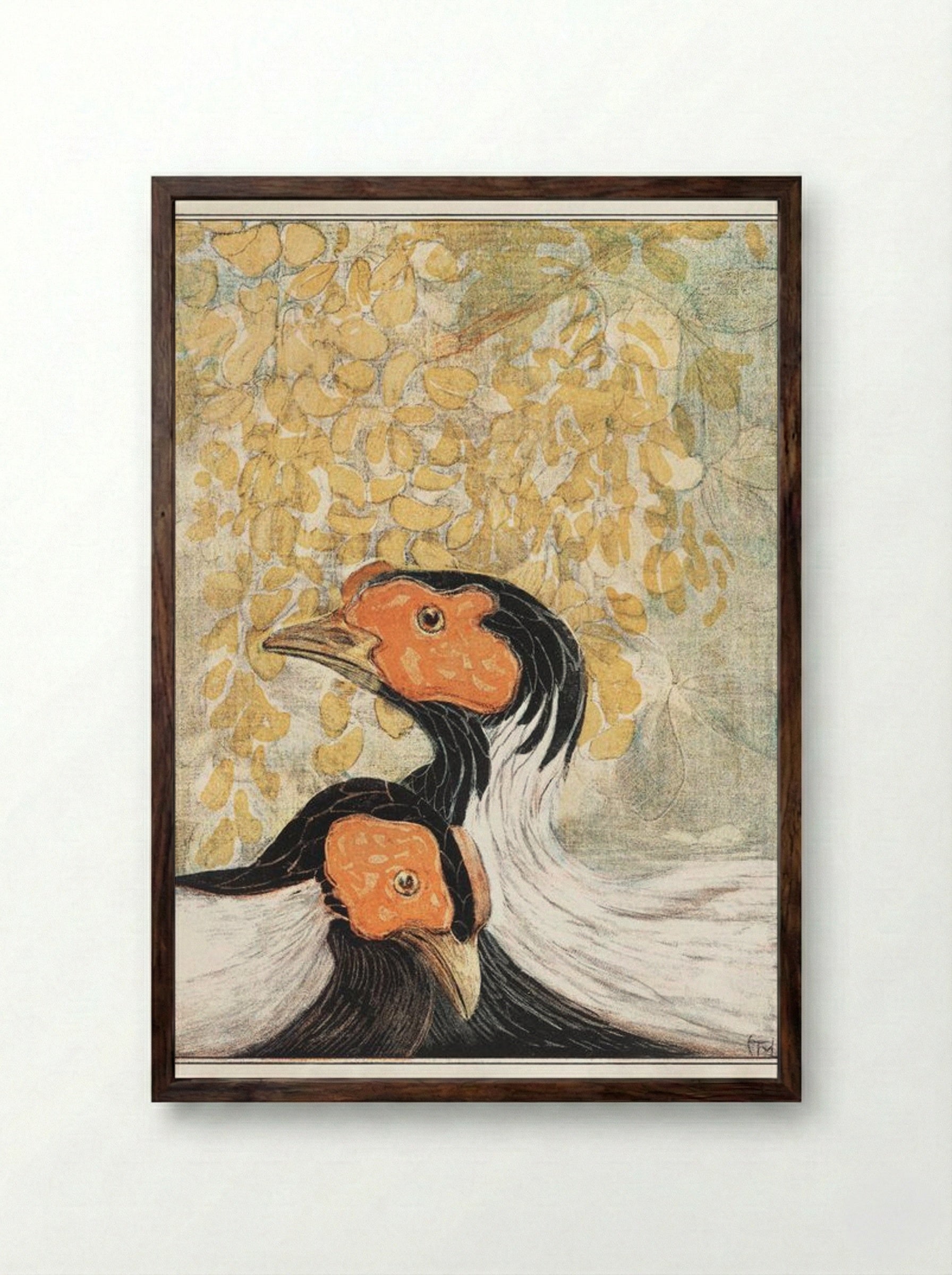 Two Silver Pheasants - Theo van Hoytema - Framed Print Dark Wood