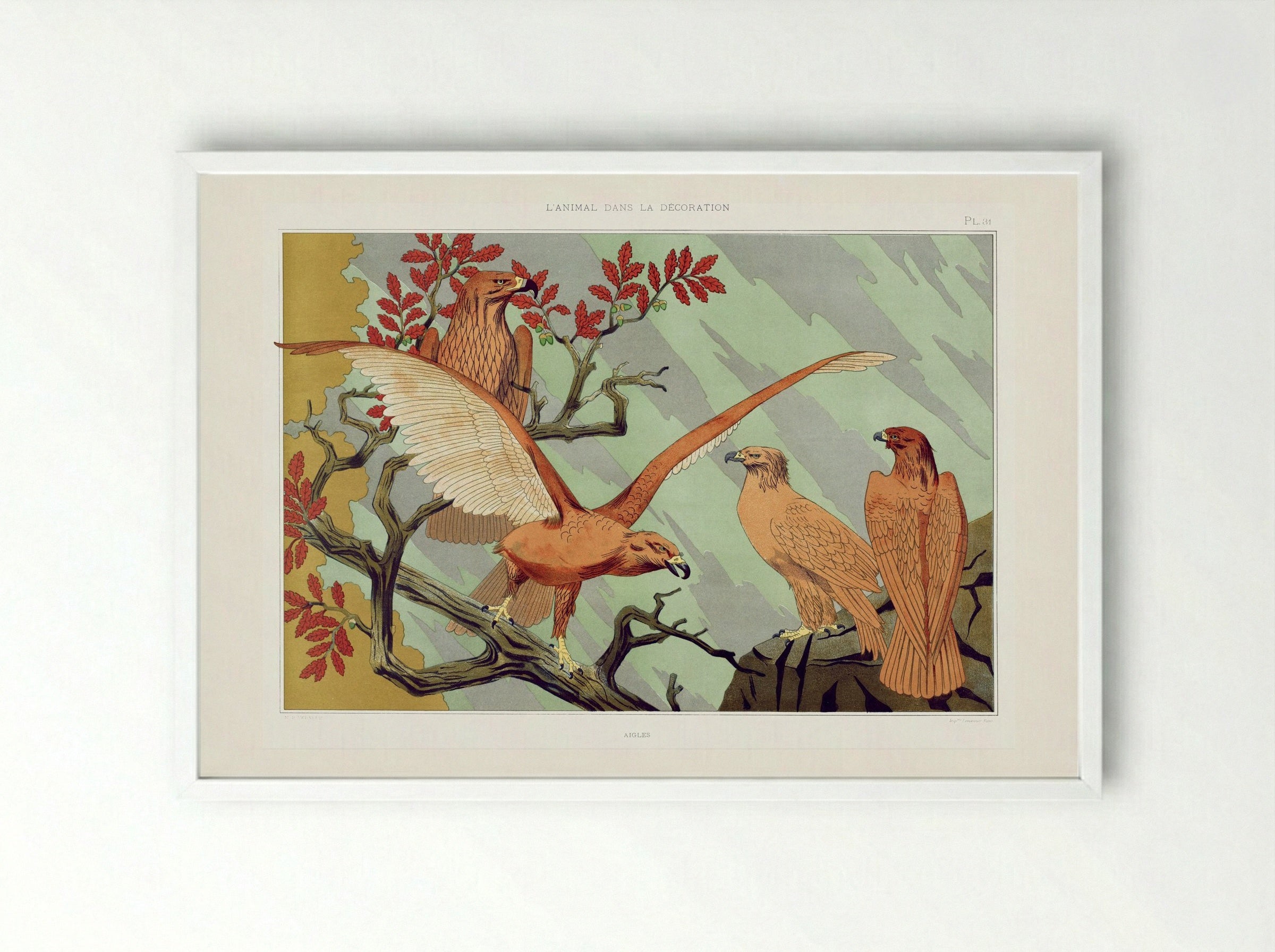 Aigles (Eagles) from L'animal dans la décoration - Maurice Pillard Verneuil - Framed Print White