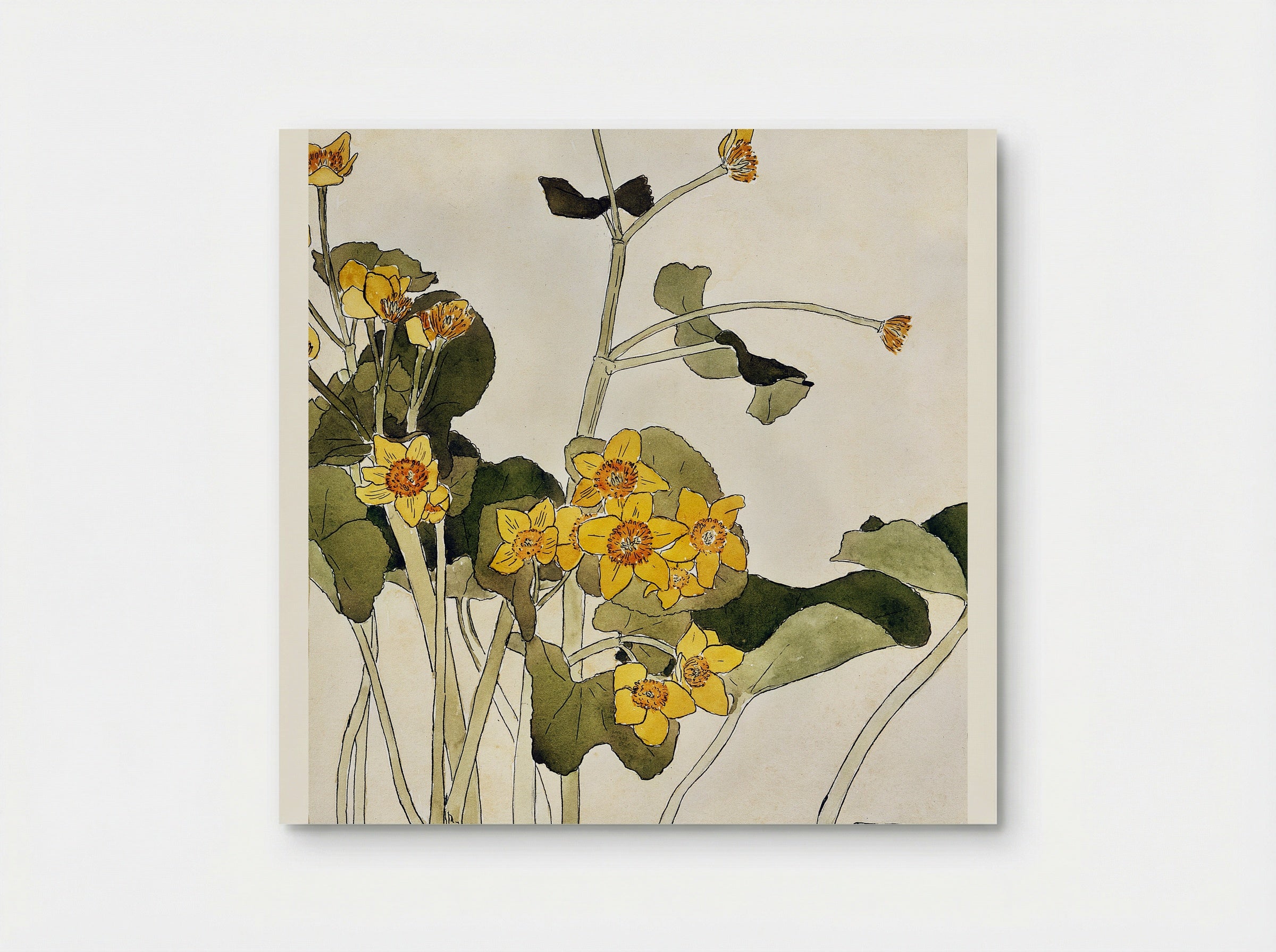 Marsh Marigold - Hannah Borger Overbeck - Poster