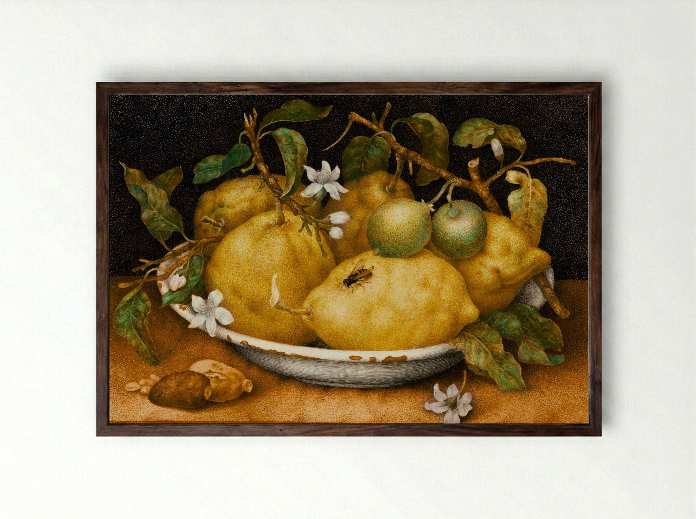 Still Life with Bowl of Citrons - Giovanna Garzoni - Framed Print Dark Wood
