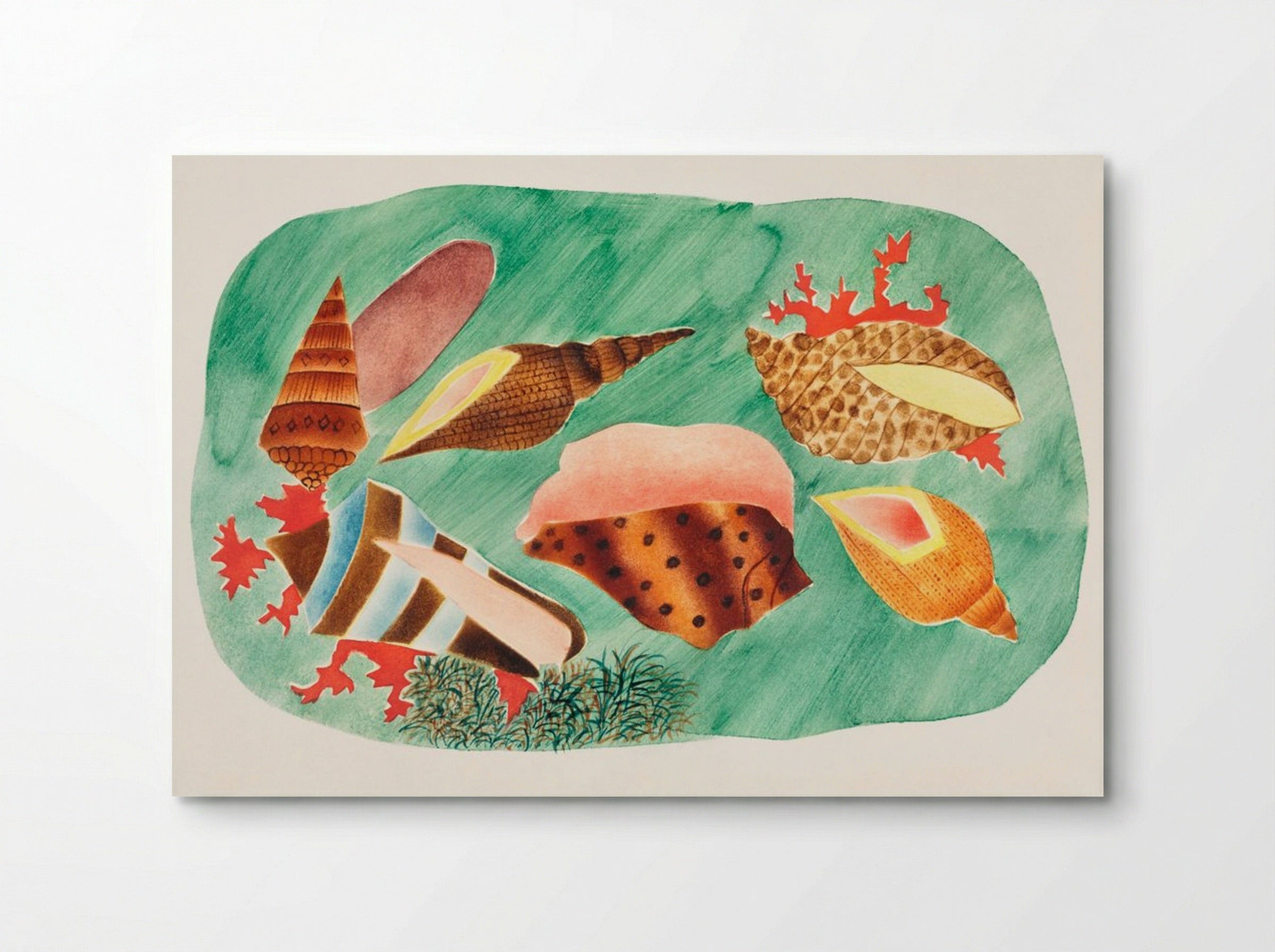 Shells in Seaweed - Mary Altha Nims - Poster