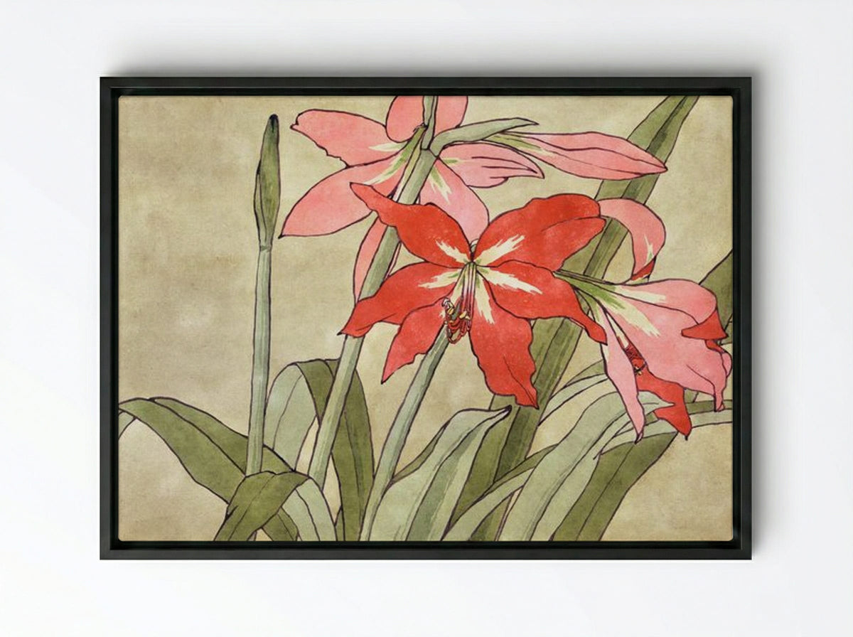 Amaryllis - Hannah Borger Overbeck - Framed Canvas Black