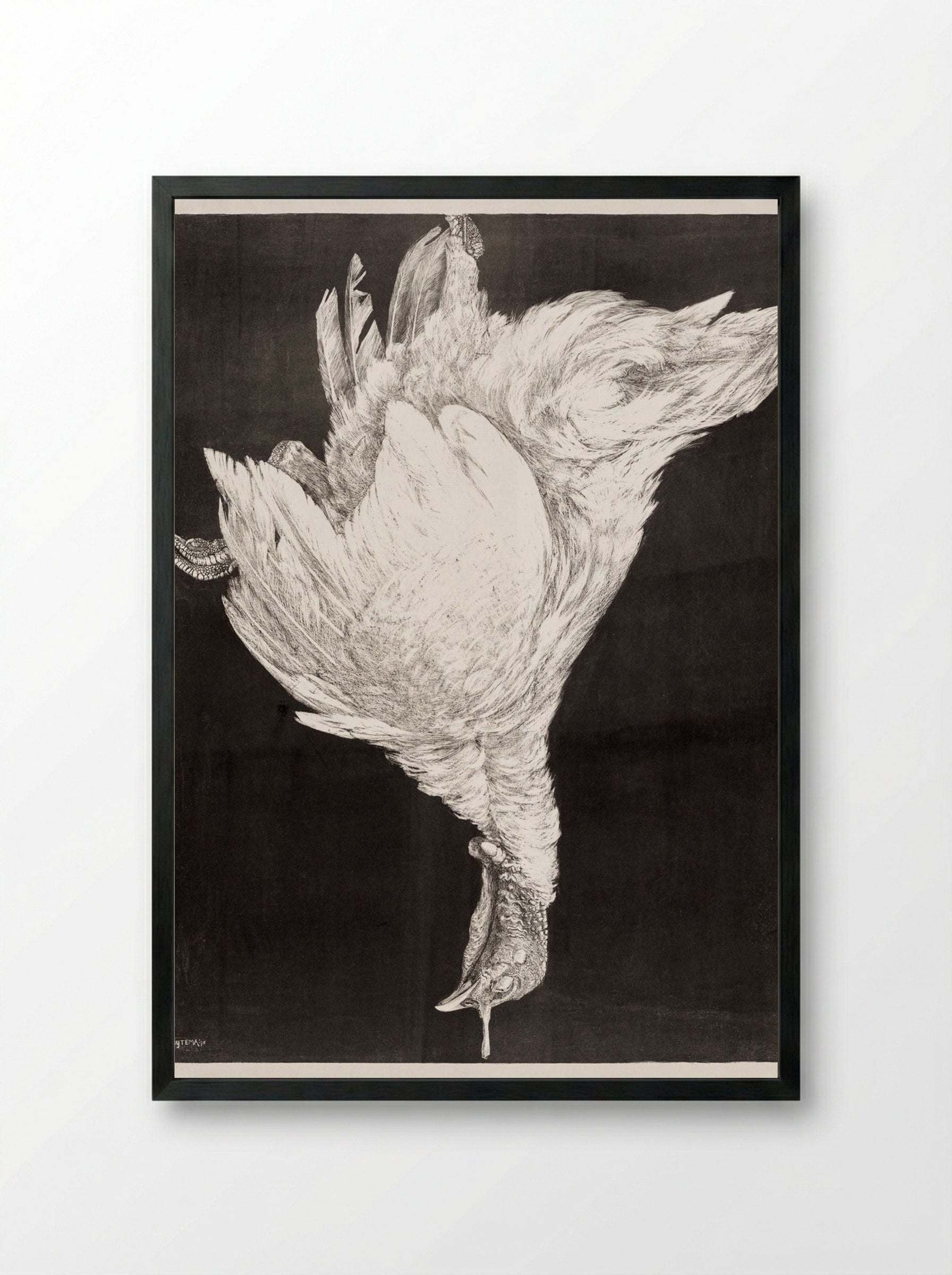 Dead Turkey - Theo van Hoytema - Framed Print Black