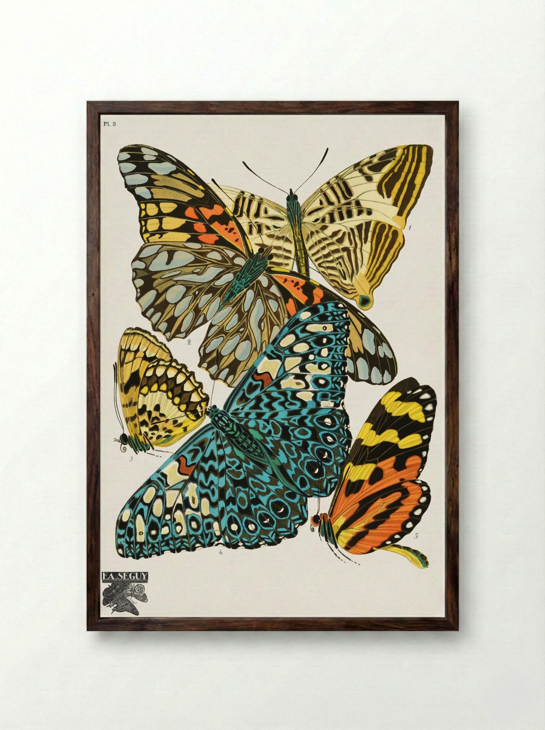 Butterflies, Plate 3 - Émile-Allain Séguy - Framed Print Dark Wood