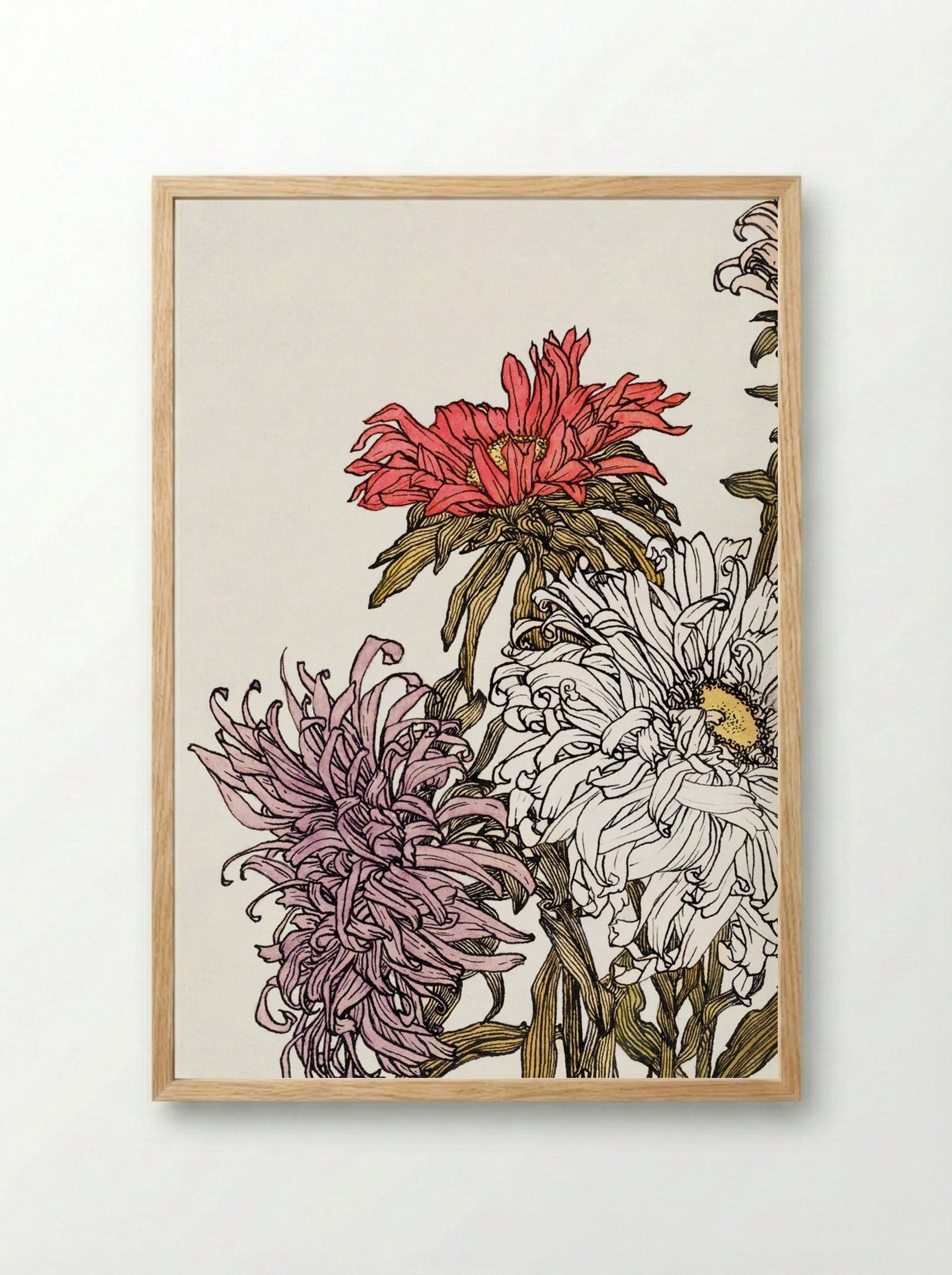 Chrysanthemums - Julie de Graag - Framed Print Wood