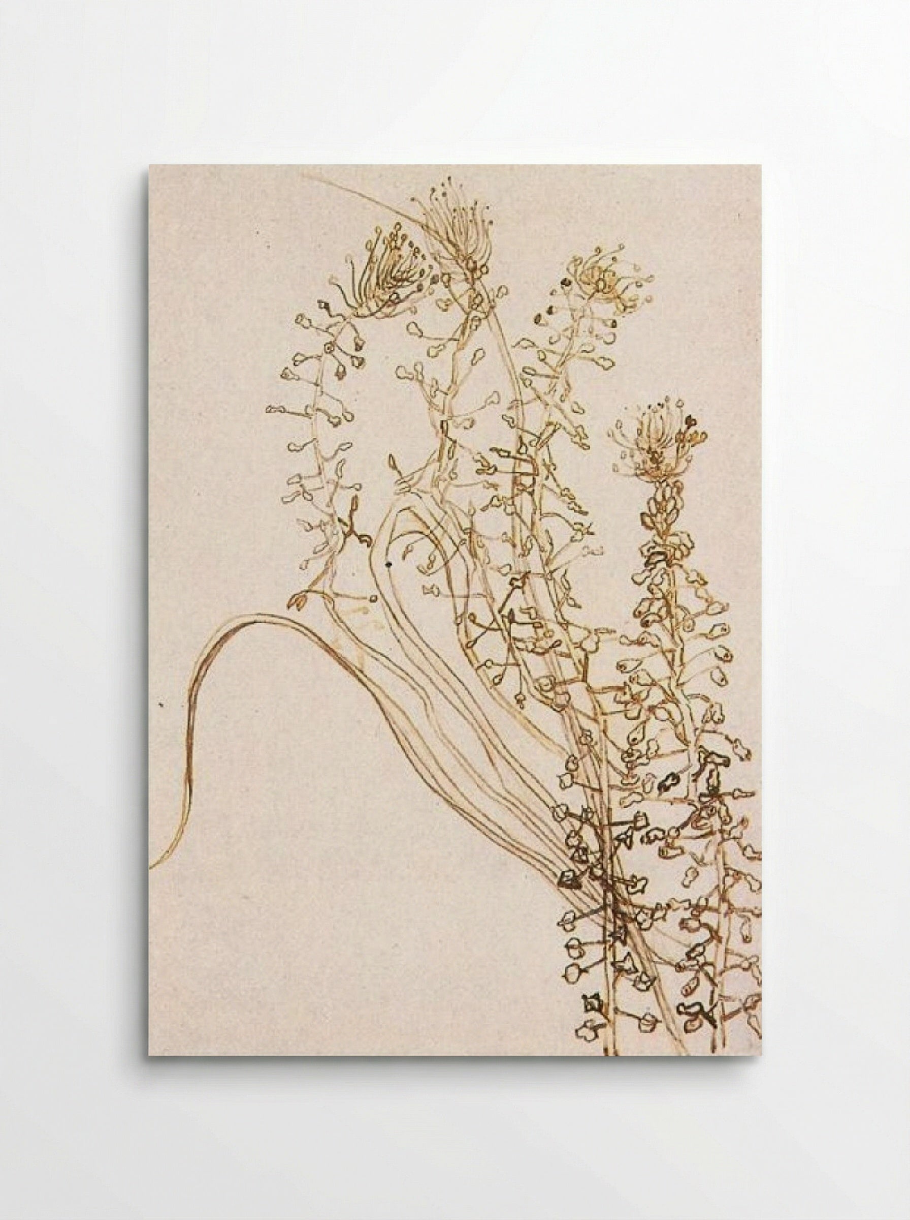 Blossoming Branches - Fine Art Print - Poster