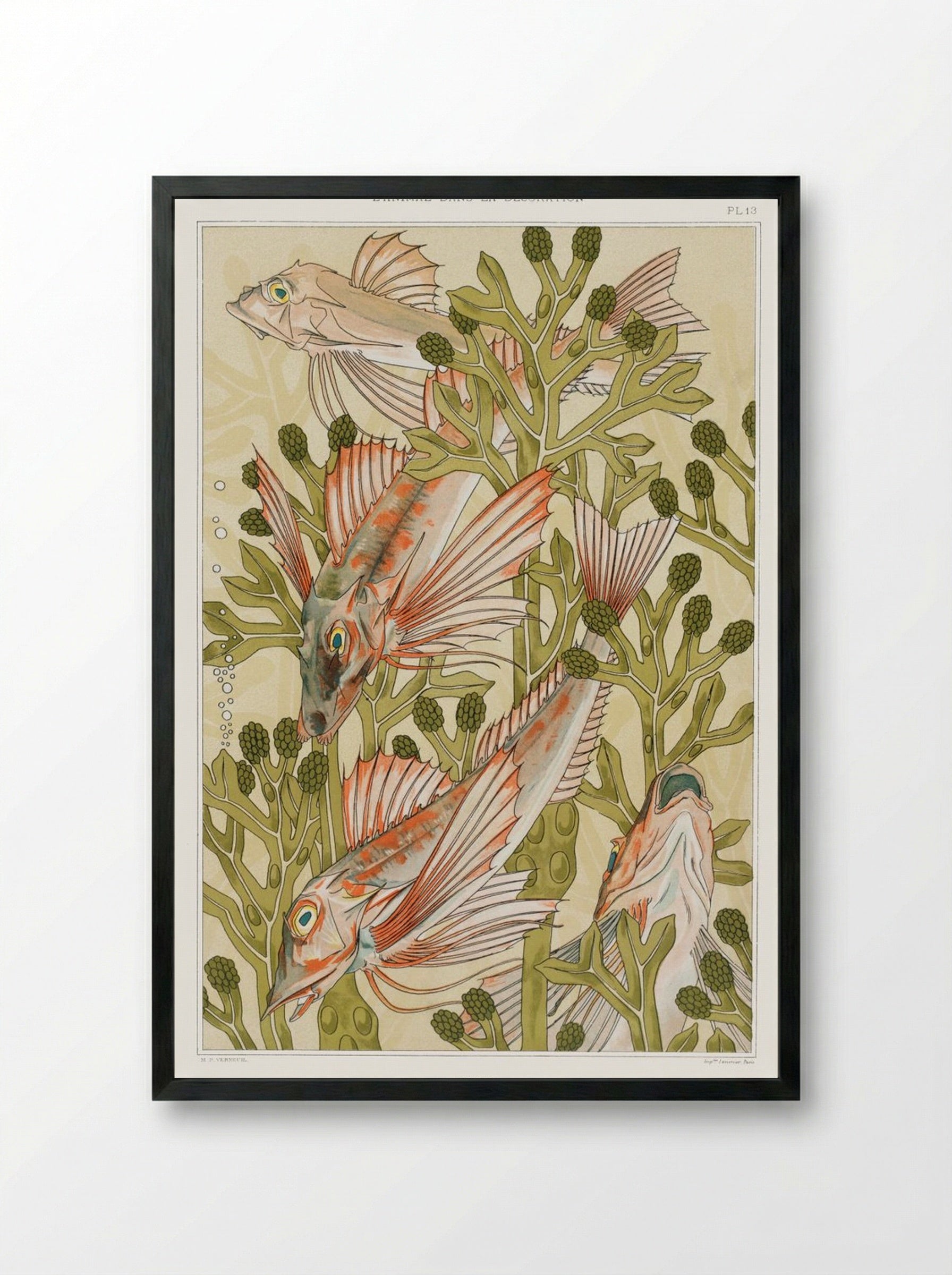 Rouget (From L'animal dans la décoration) - Maurice Pillard Verneuil - Framed Print Black