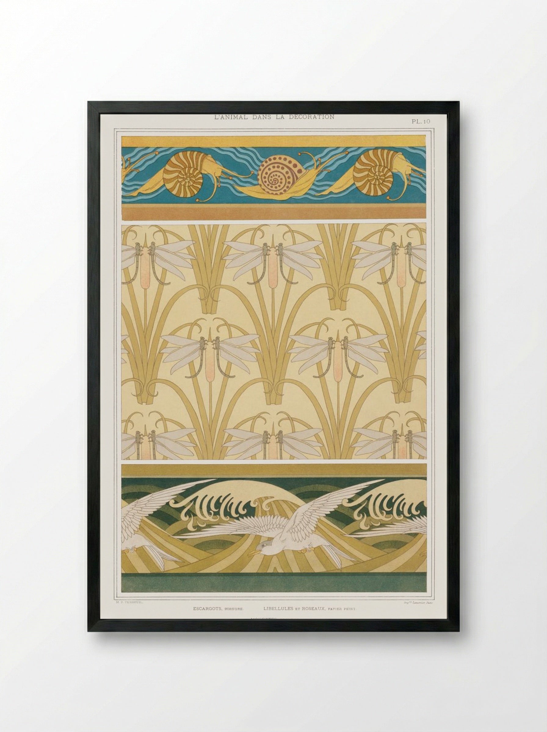 L'Animal dans la Décoration, Plate 10 (Snails, Dragonflies, Seagulls) - Maurice Pillard Verneuil - Framed Print Black