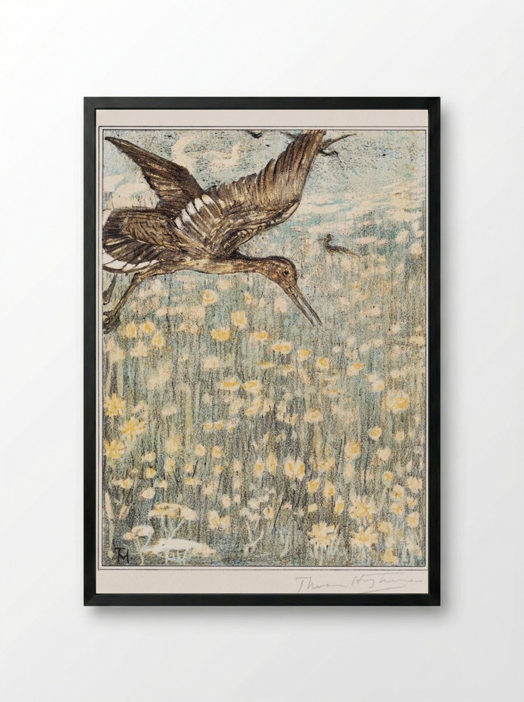 Tureluur (Redshank) - Theo van Hoytema - Framed Print Black