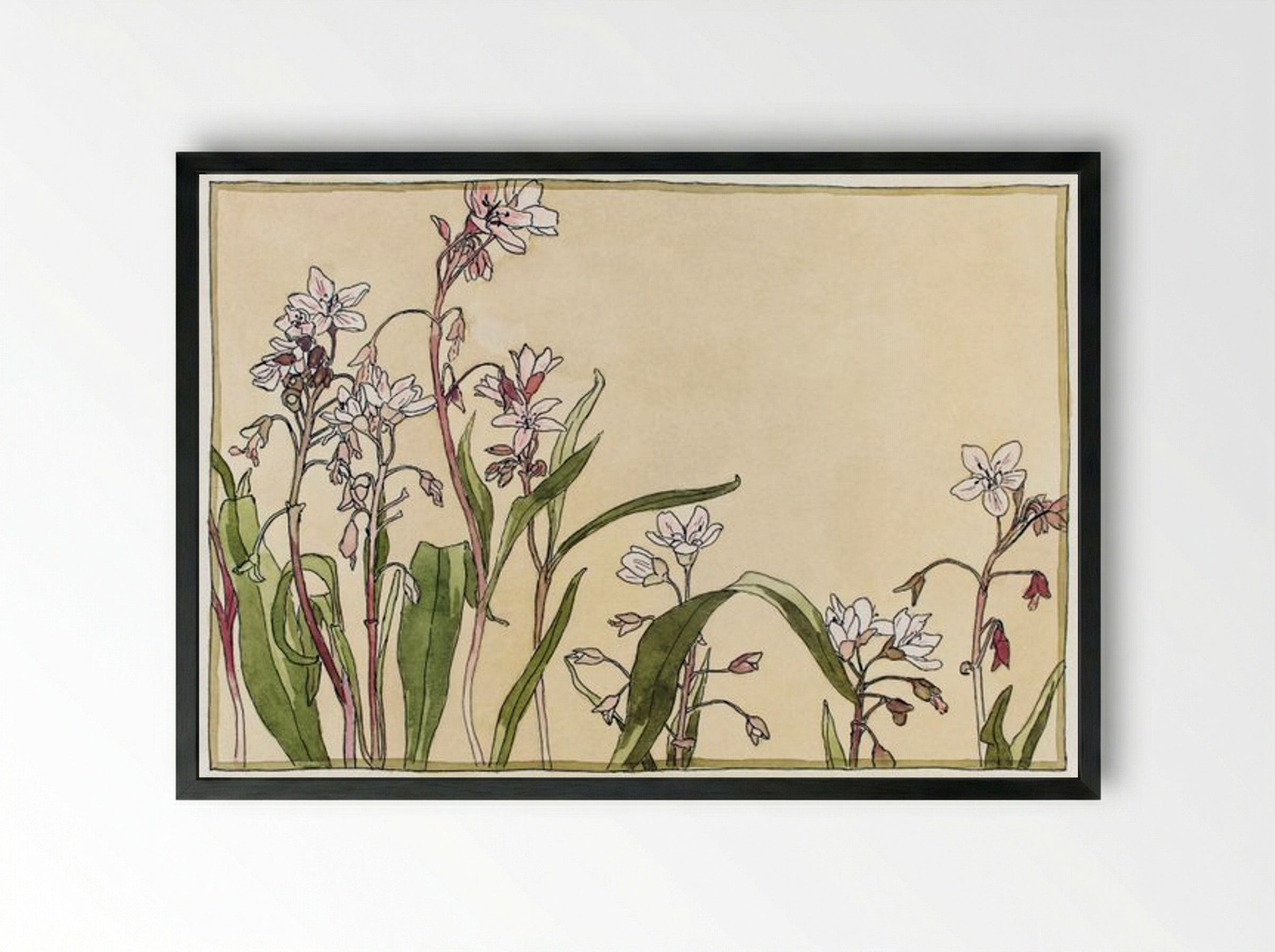 Spring Beauty - Hannah Borger Overbeck - Framed Print Black