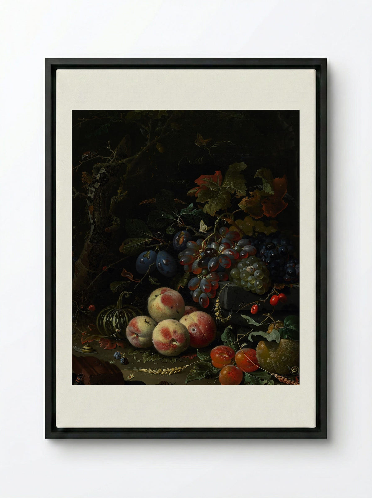 Still Life with Fruit, Foliage, and Insects - Abraham Mignon - Framed Canvas Black