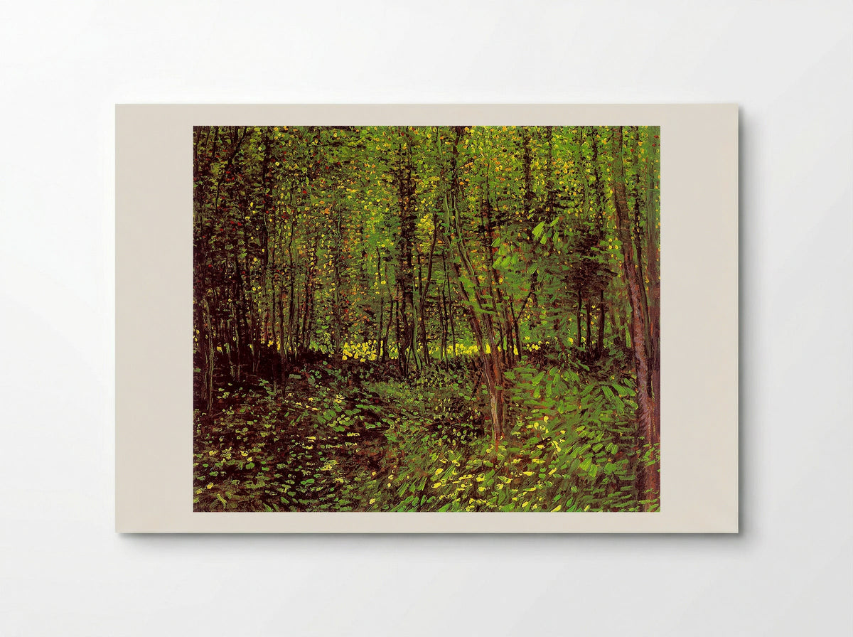 Trees and Undergrowth - Vincent van Gogh - Poster