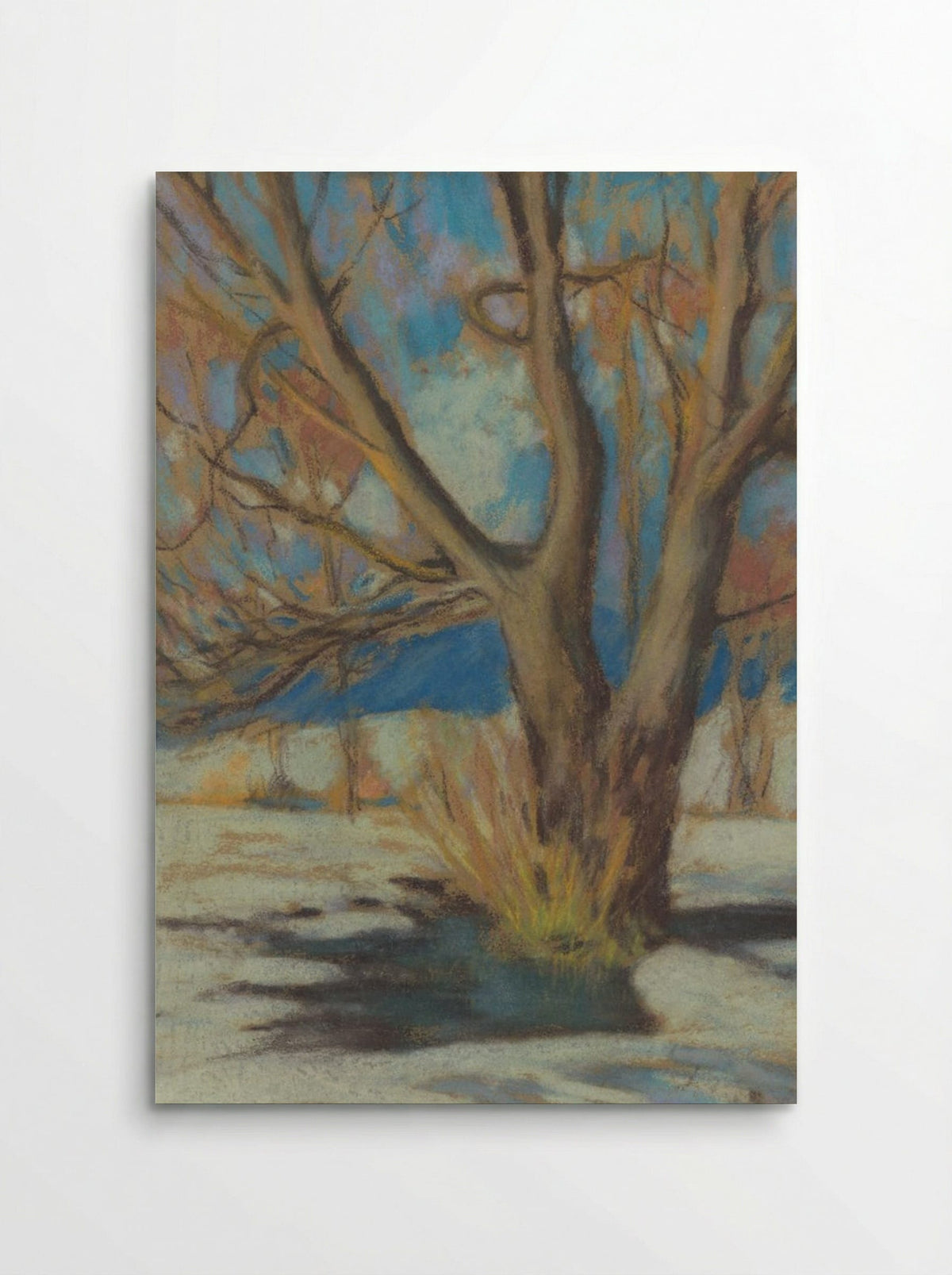 Study of a Bare Tree in Winter - Zolo Palugyay - Poster
