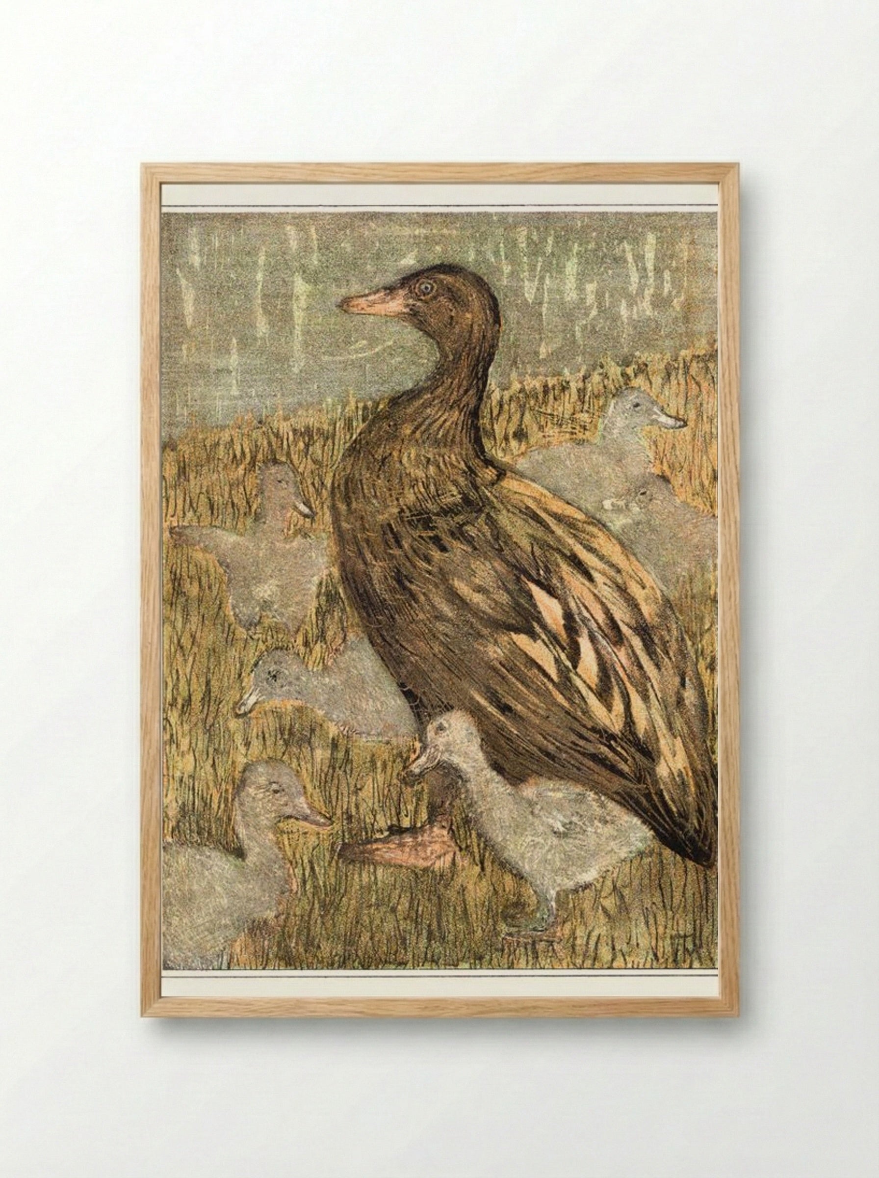 Duck with Ducklings by the Waterside - Theo van Hoytema - Framed Print Wood