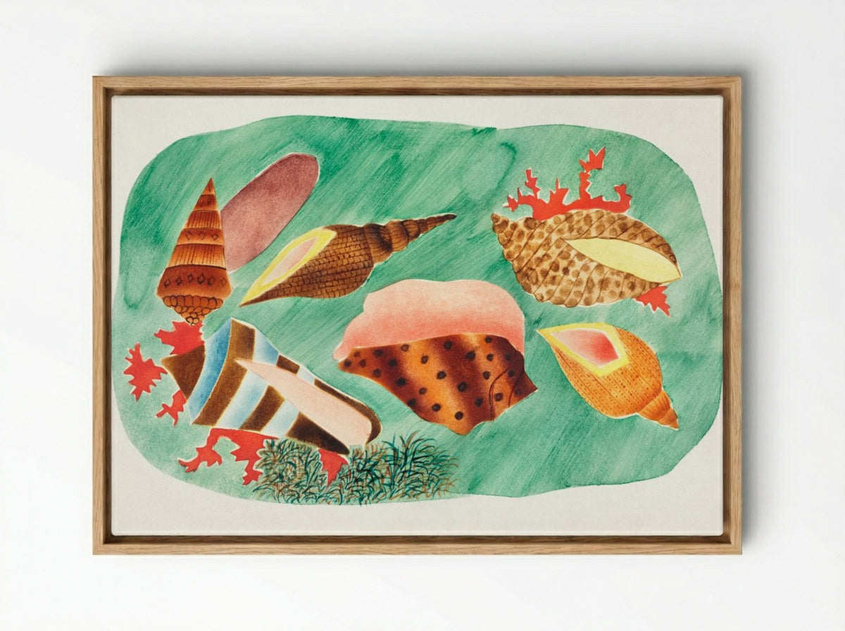 Shells in Seaweed - Mary Altha Nims - Framed Canvas Wood
