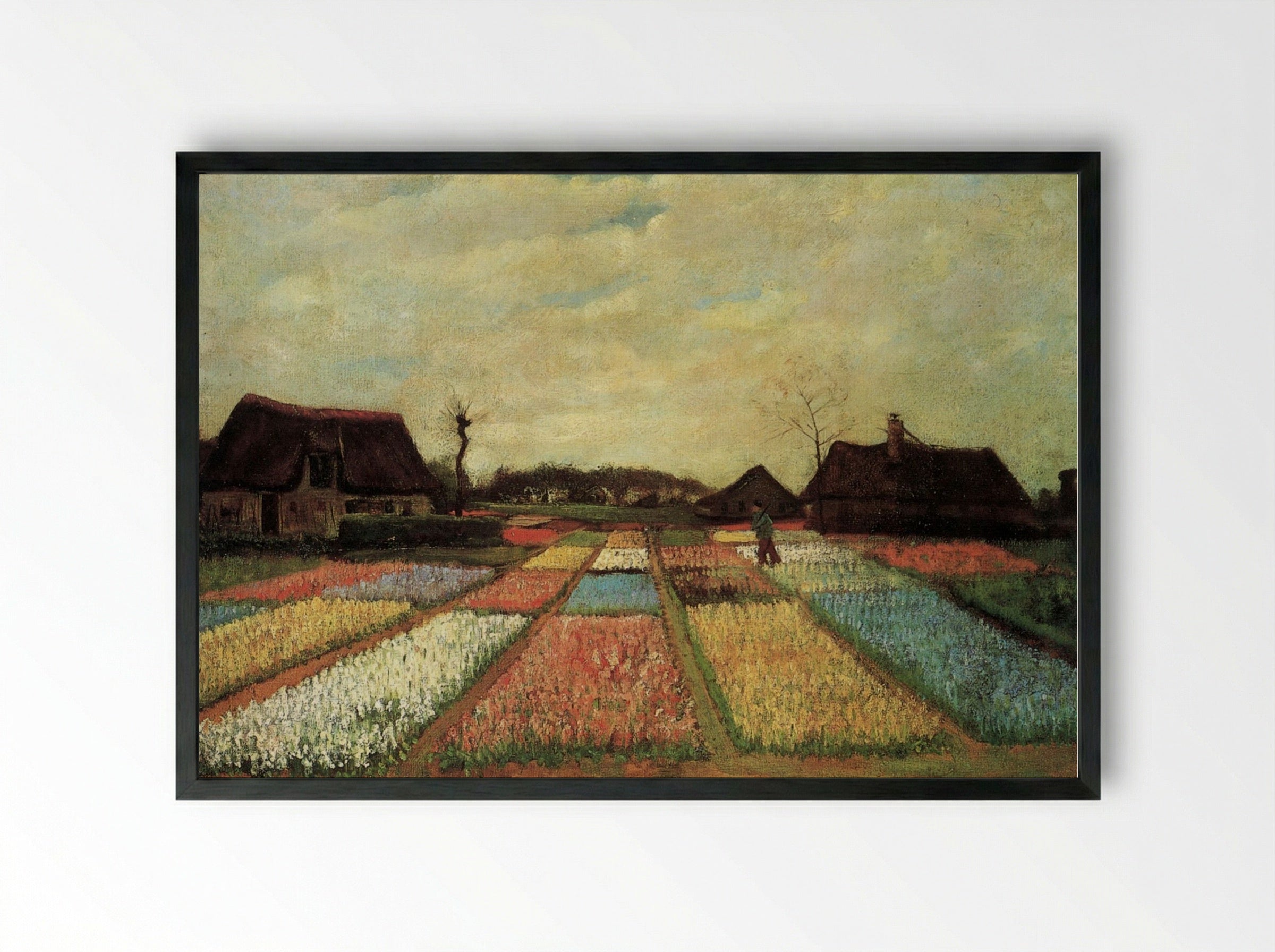 Bulb Fields - Vincent van Gogh - Framed Print Black