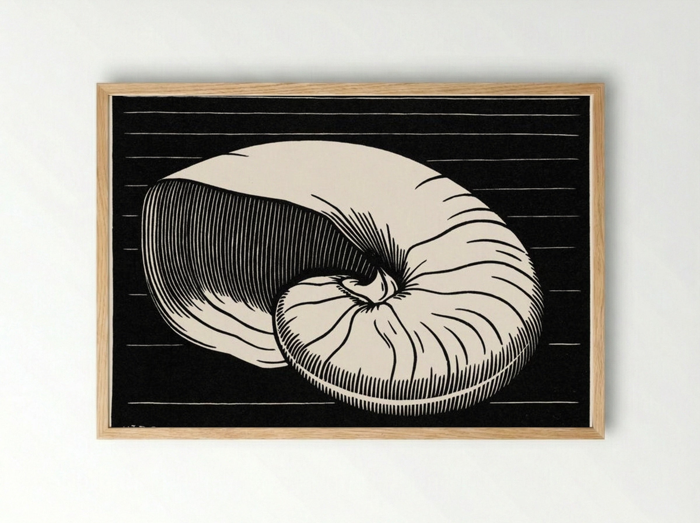 Shell - Julie de Graag - Framed Print Wood