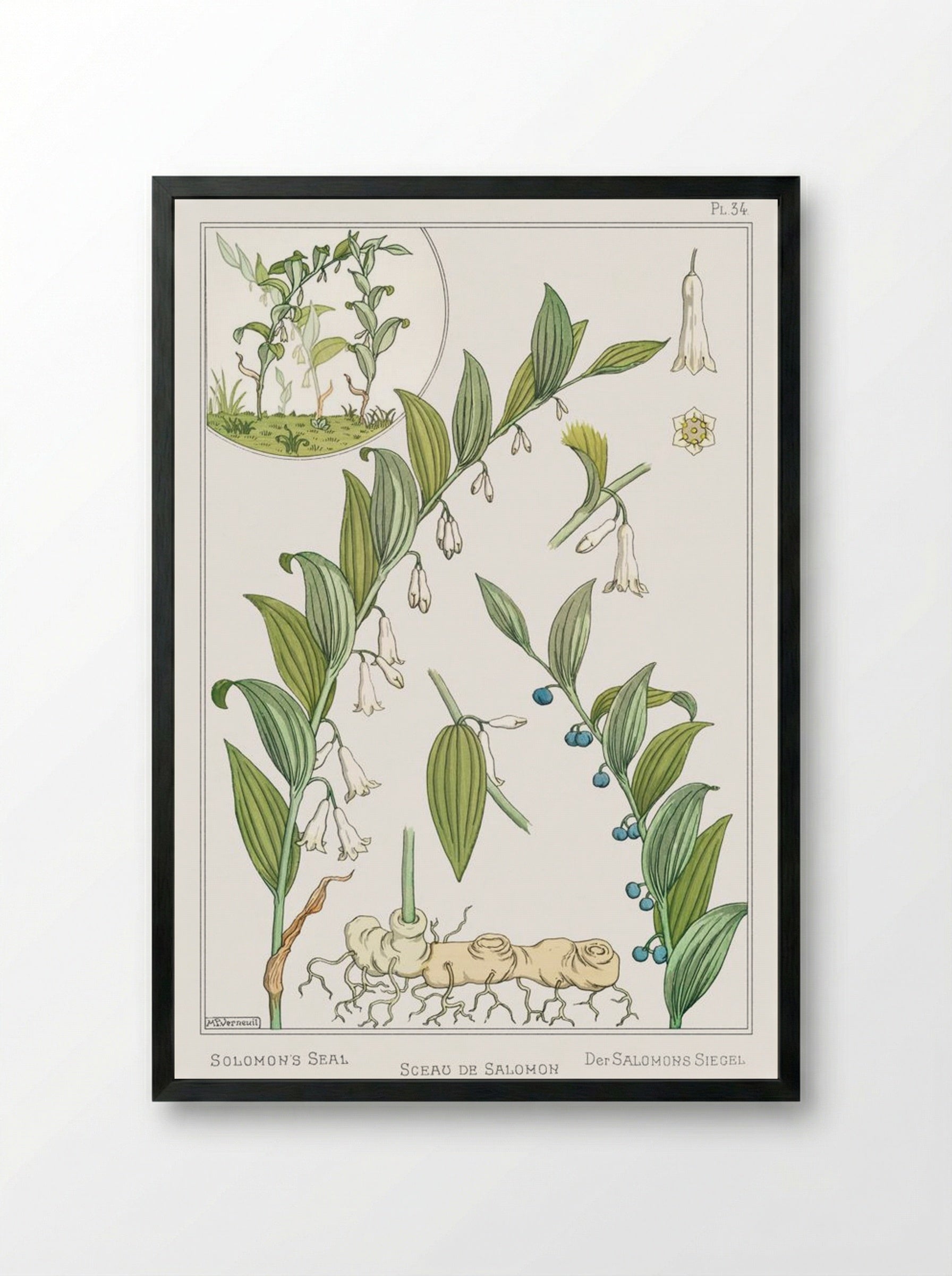 Sceau de Salomon (Solomon's Seal) - Maurice Pillard Verneuil - Framed Print Black