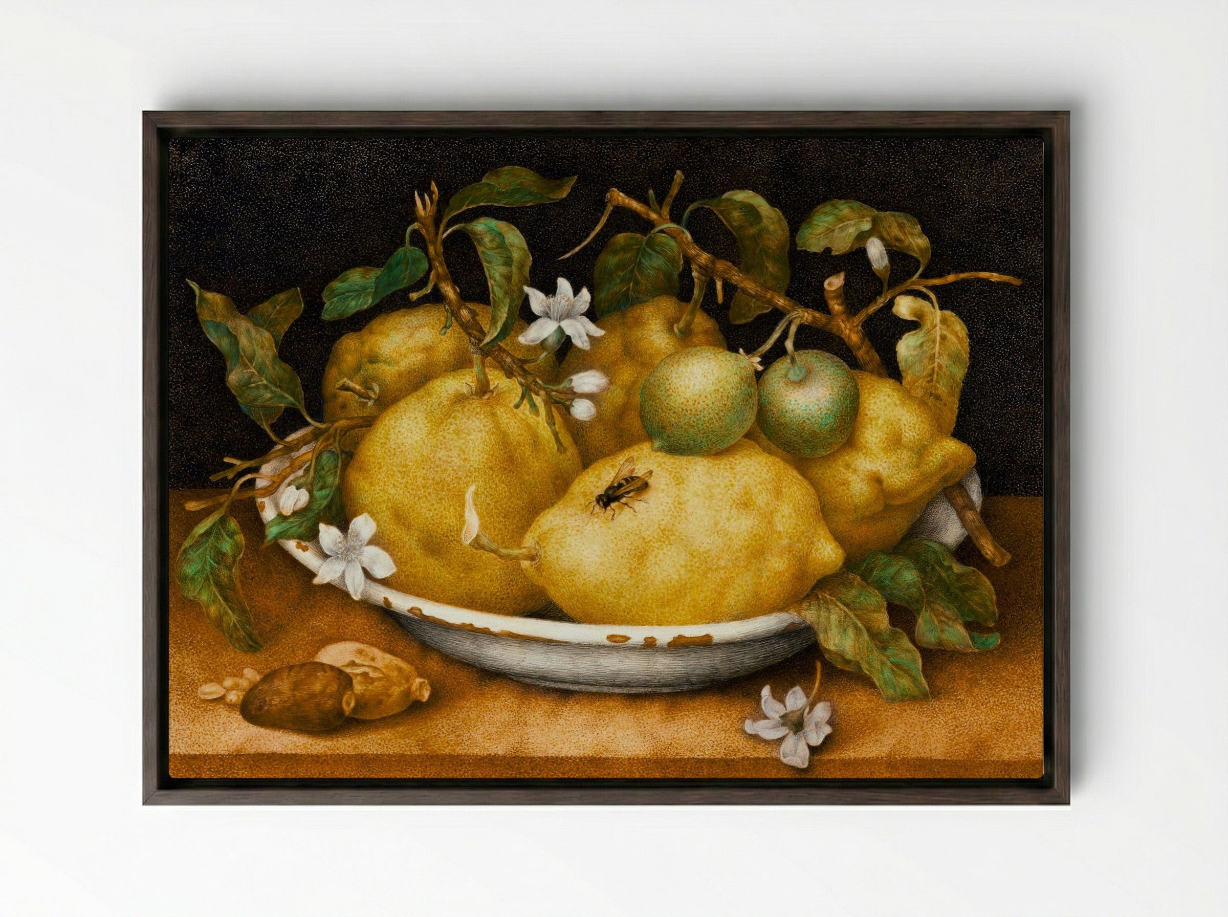 Still Life with Bowl of Citrons - Giovanna Garzoni - Framed Canvas Dark Wood