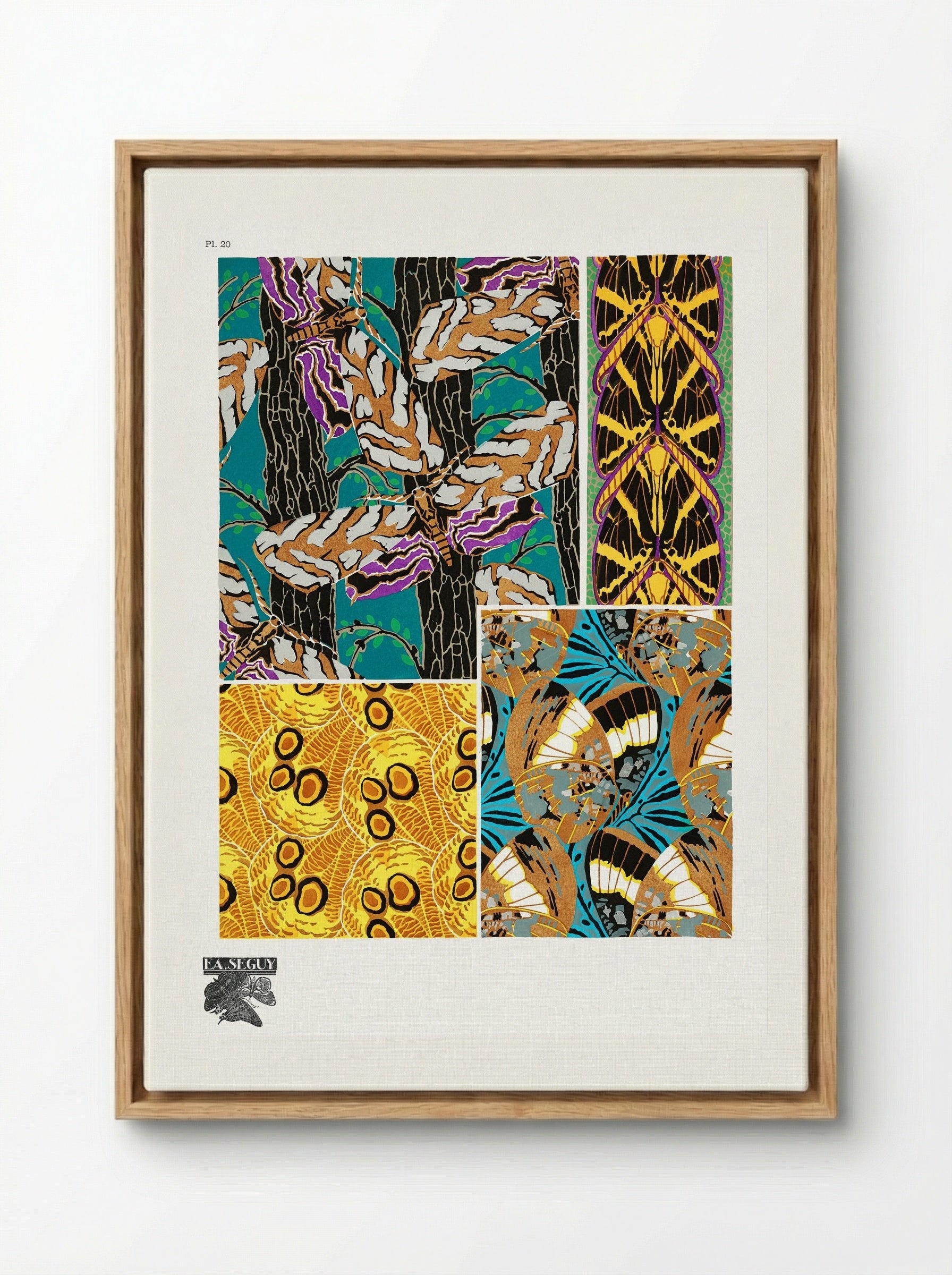 Butterflies Pattern Plate (from Papillons) - Émile-Allain Séguy - Framed Canvas Wood