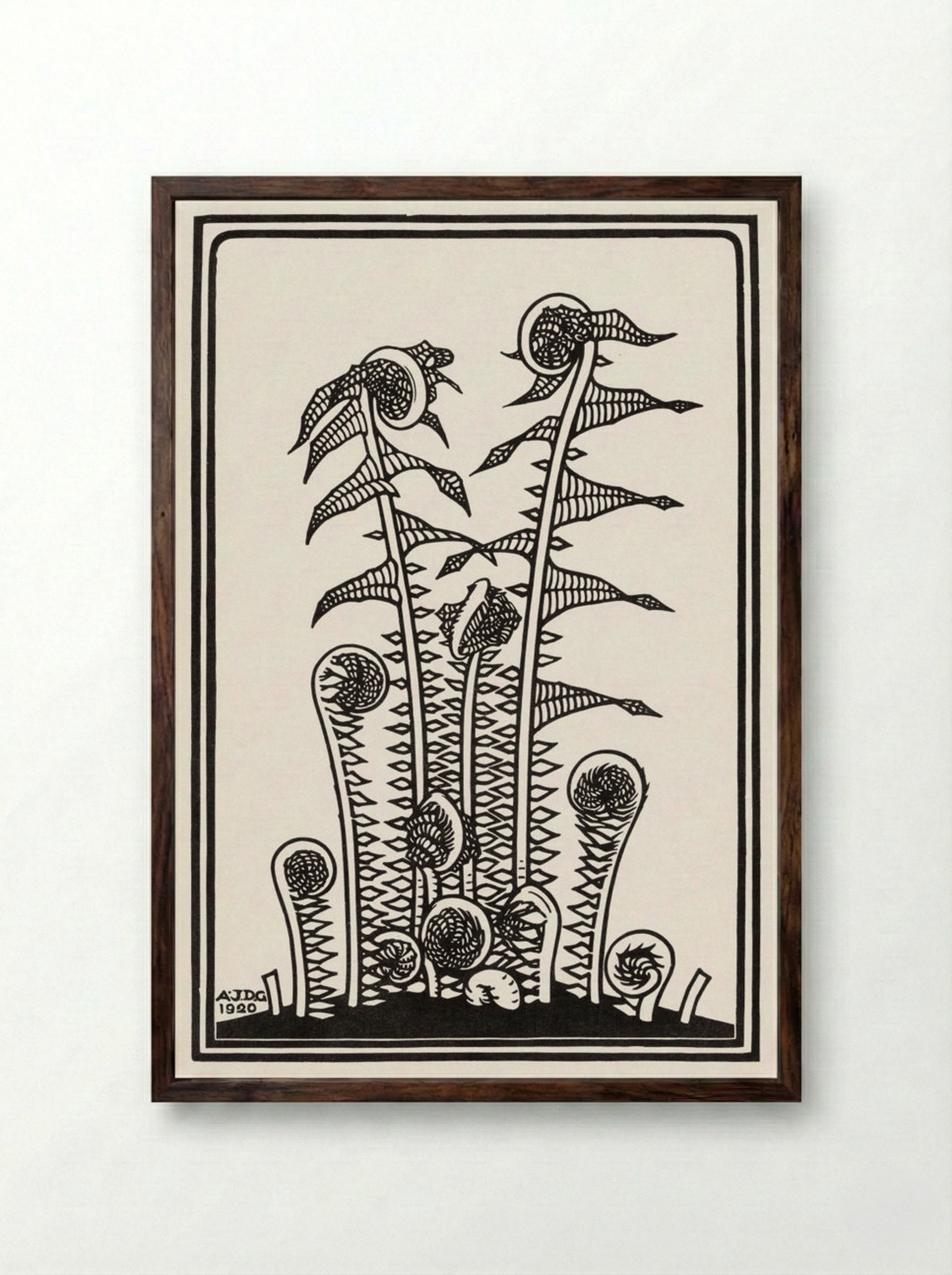Ferns - Julie de Graag - Framed Print Dark Wood