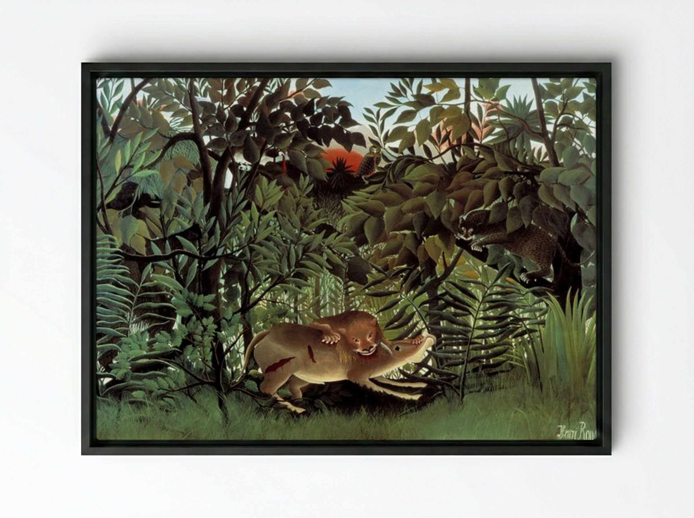 The Hungry Lion Throws Itself on the Antelope - Henri Rousseau - Framed Canvas Black