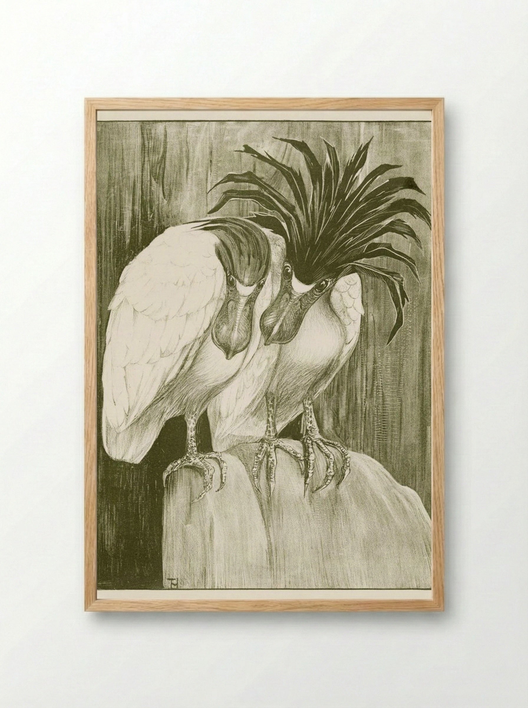 Two Boat-billed Herons - Theo van Hoytema - Framed Print Wood