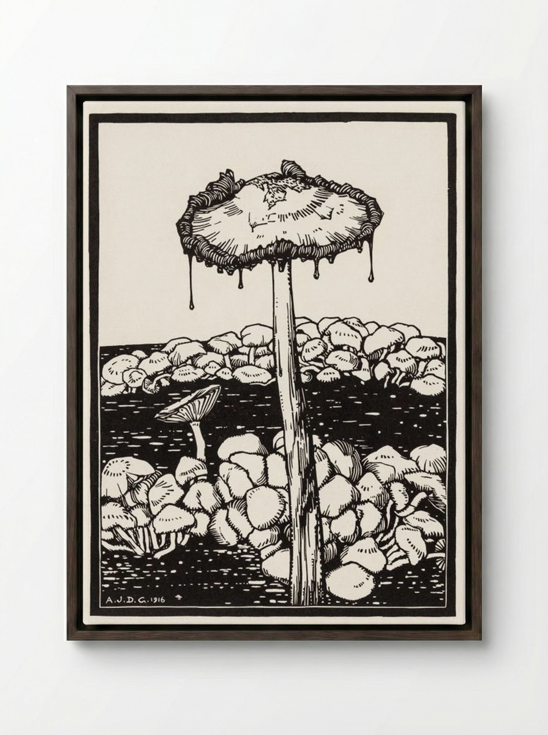 Dripping Mushroom - Julie de Graag - Framed Canvas Dark Wood