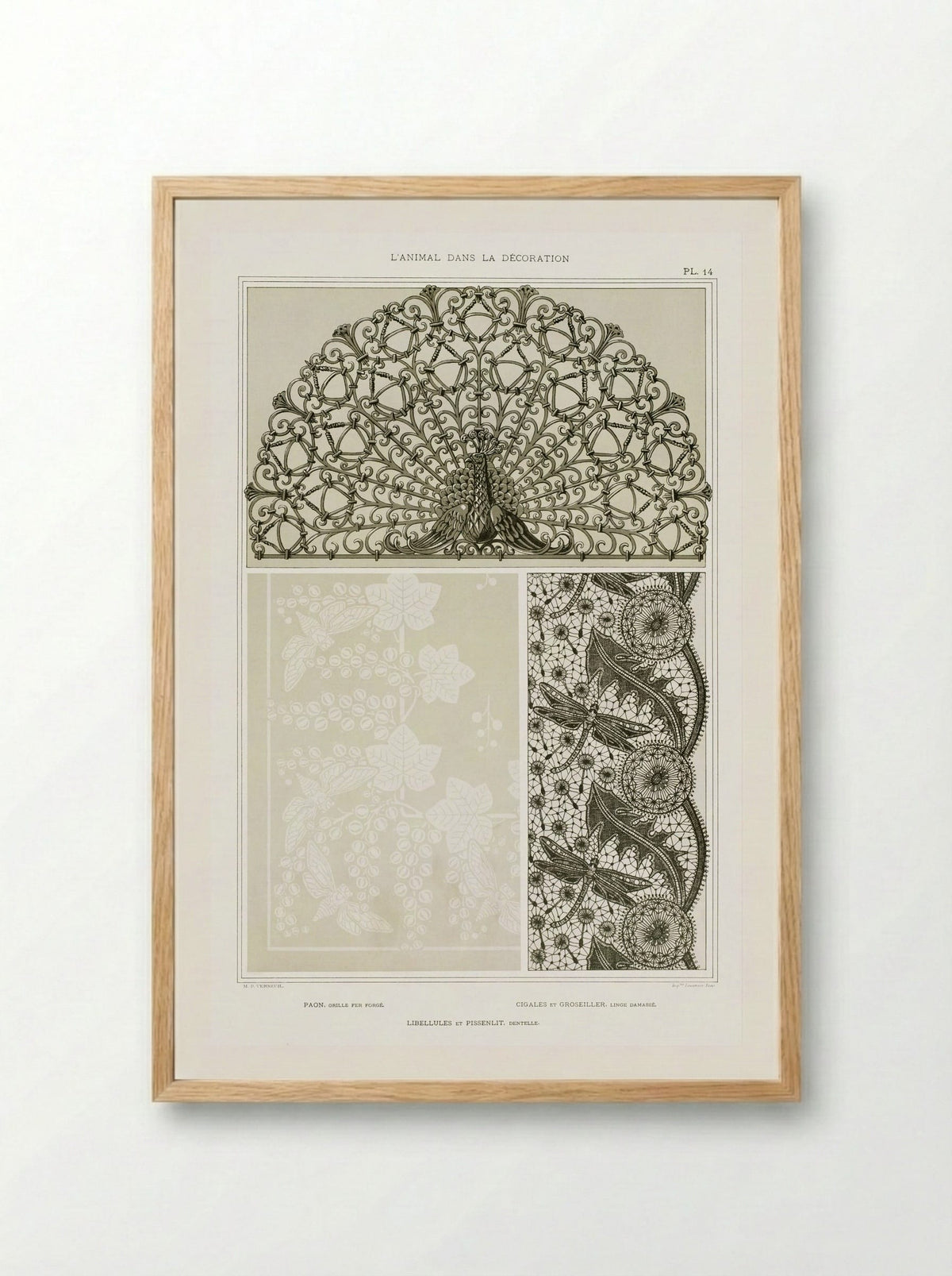 L'Animal dans la Décoration, Plate 14 (Peacock, Cicadas, Dragonflies) - Maurice Pillard Verneuil - Framed Print Wood